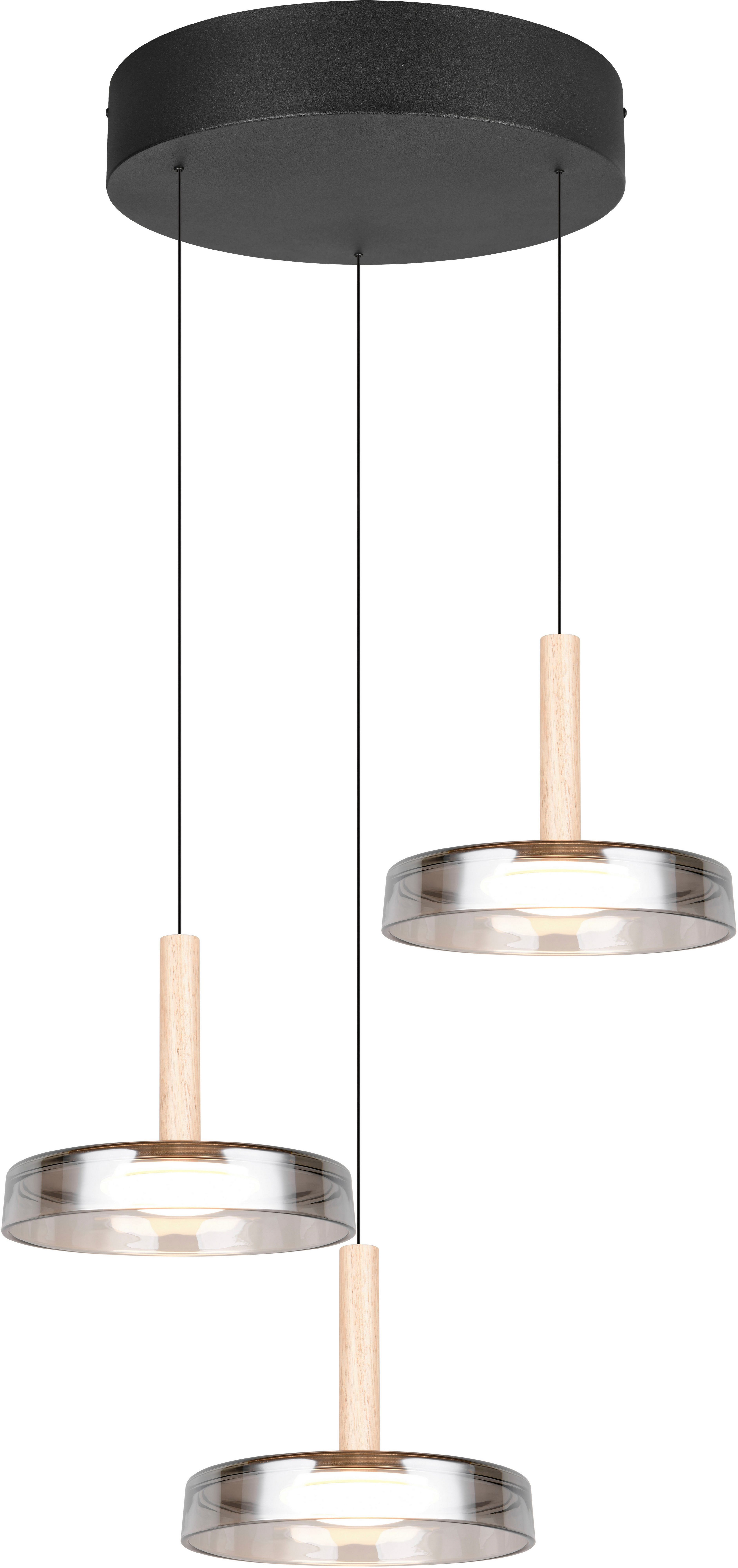 TRIO Leuchten LED Pendelleuchte CELESTE dimmbare LED Hängelampe aus Metall günstig online kaufen