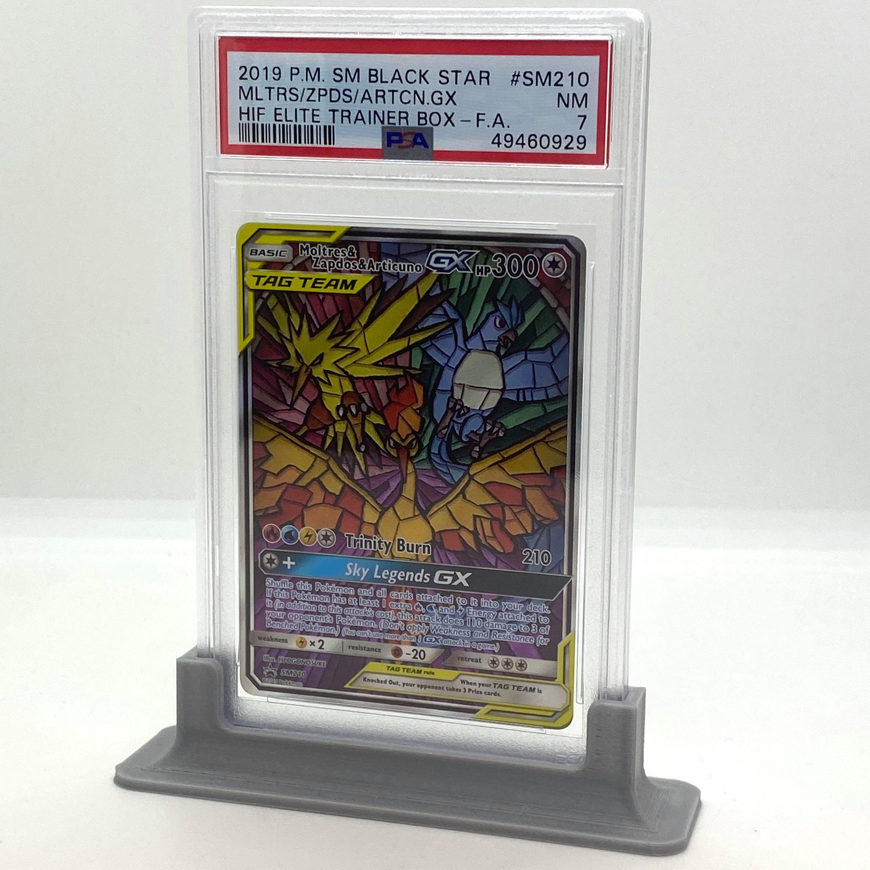 KingsofCards Tischkartenhalter PSA Gradingkarten Ständer Halter Standard verschiedene Farben