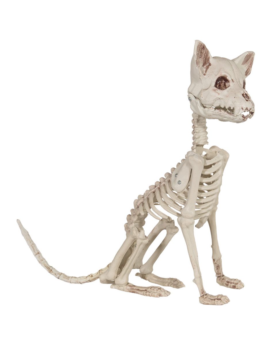 Horror-Shop Dekoobjekt Katzenskelett als Halloween Deko 48cm