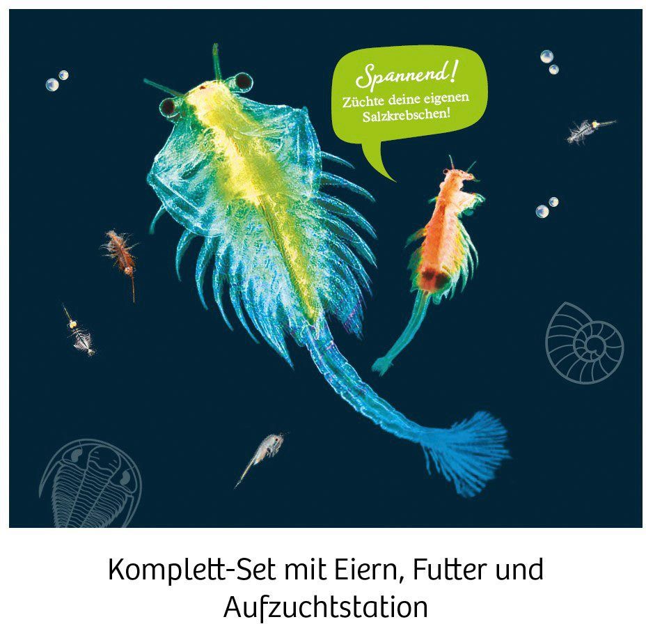 Kosmos Experimentierkasten Urzeit-Krebse, Made in Germany