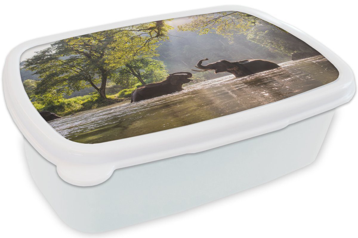Bäume weiß Elefant Jungs - Brotdose, Sonne, Kunststoff, - Erwachsene, (2-tlg), und Tiere Brotbox MuchoWow Kinder für Wasser Mädchen - für - und Lunchbox