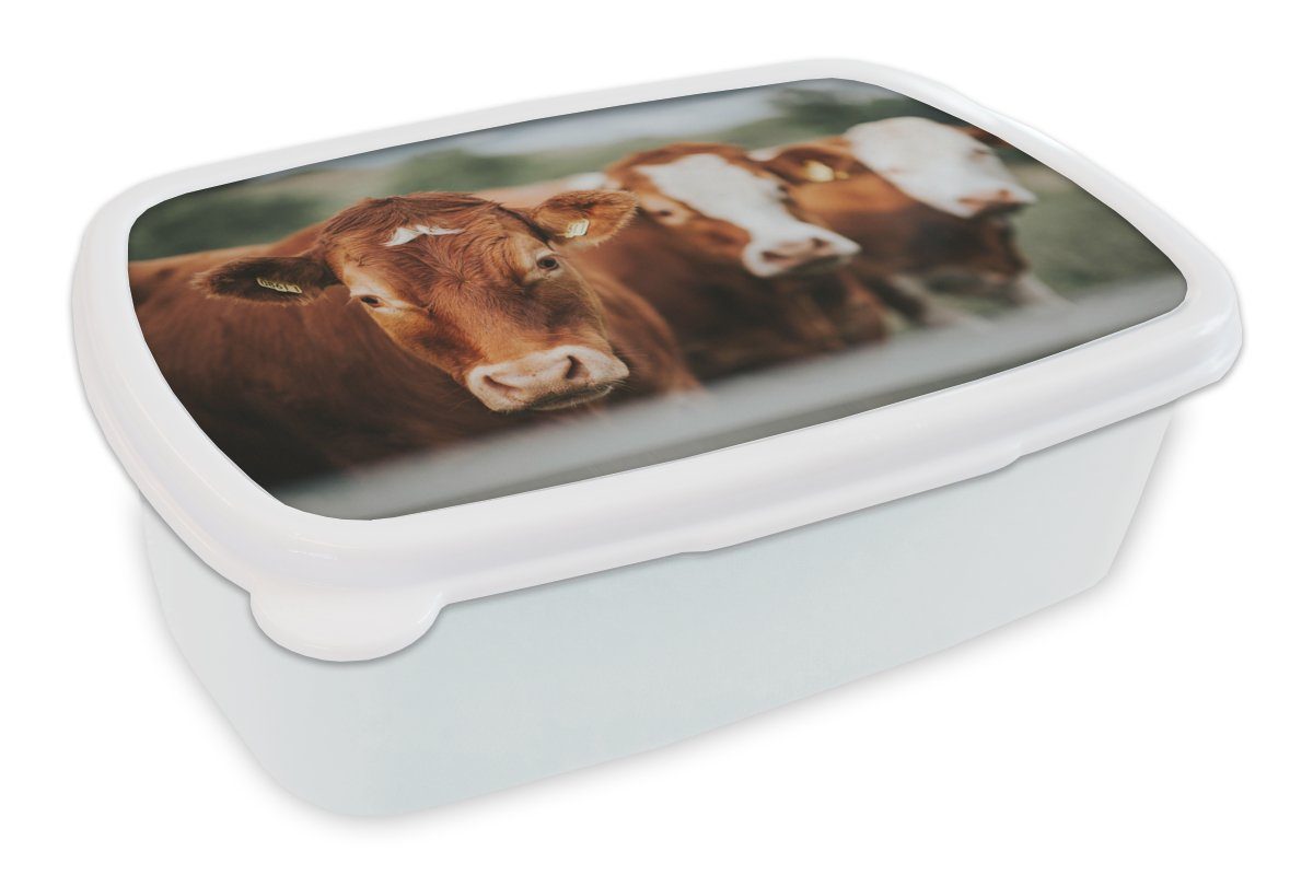 MuchoWow Lunchbox Kühe - Gras - Zaun, Kunststoff, (2-tlg), Brotbox für Kinder und Erwachsene, Brotdose, für Jungs und Mädchen weiß