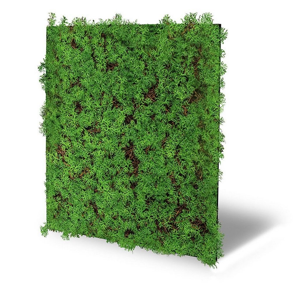 JANGAL Wandpaneel Wandpaneel Jangal Modular Wall 11105 Thuja Tea Tree 52 x 52 cm