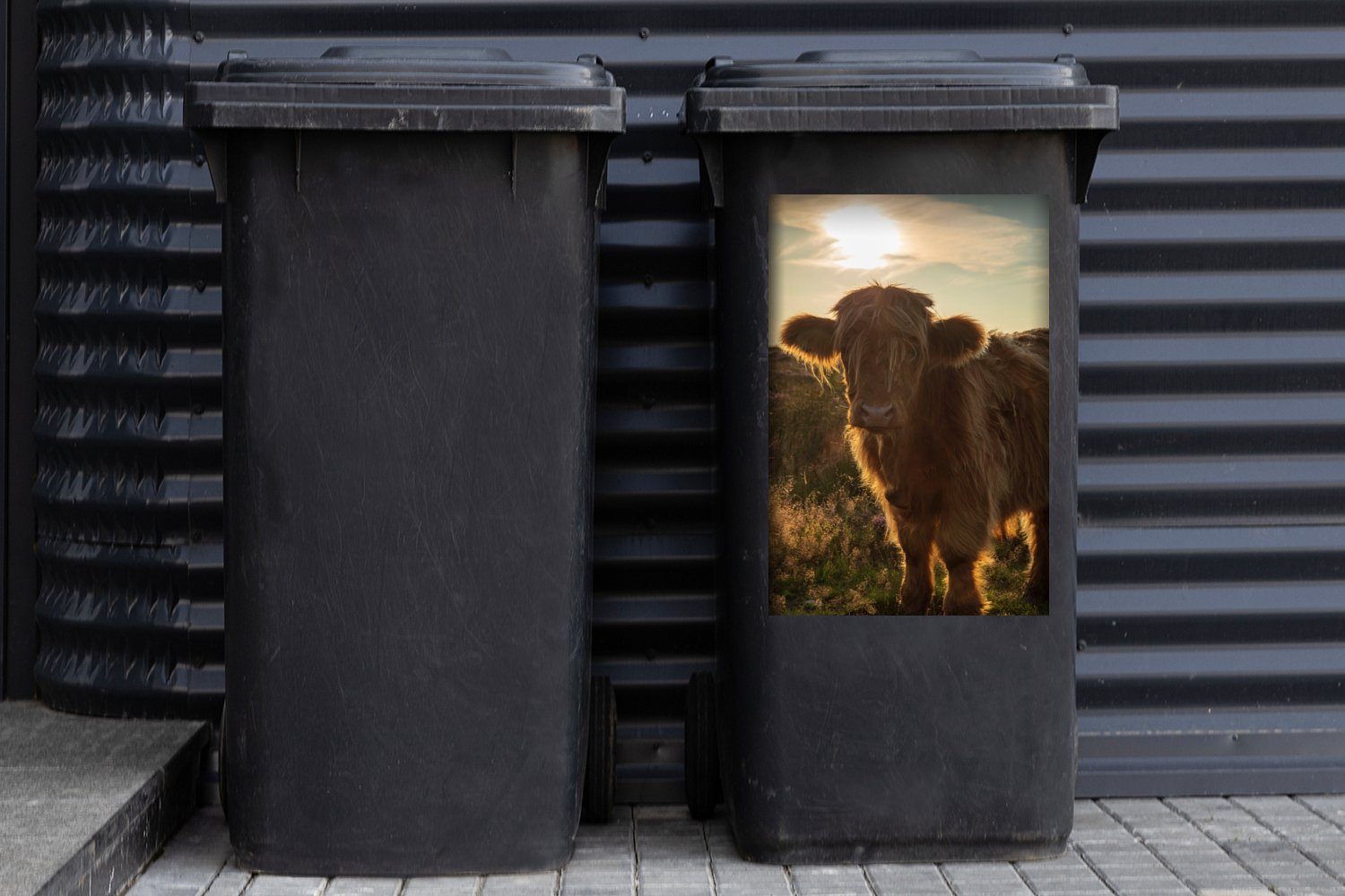St), Gras MuchoWow Schottischer Mülltonne, - Highlander Sticker, - Wandsticker Container, Sonnenuntergang Mülleimer-aufkleber, (1 Abfalbehälter