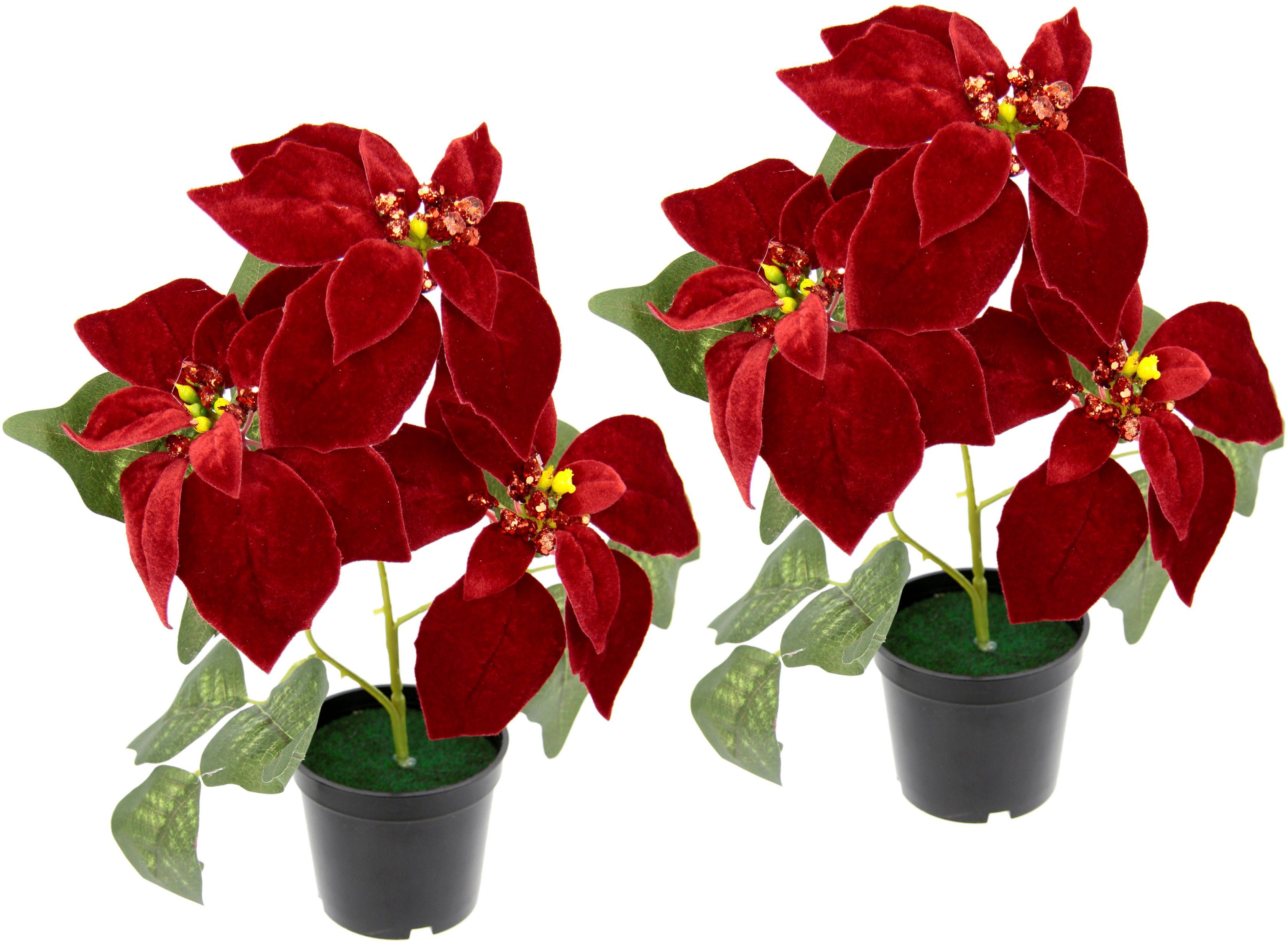 Kunstpflanze Samt-Poinsettie Poinsettie, I.GE.A., Höhe 32 cm, im Topf, 2er Set