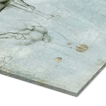 Posterlounge Acrylglasbild Leonardo da Vinci, Studie von Pferden, Klassenzimmer Illustration