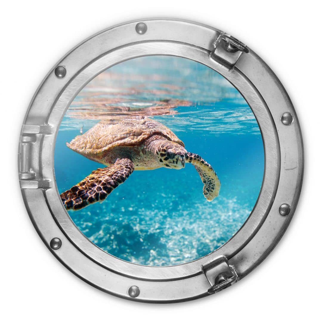 K&L Wall Art Glasbild Glas Wandbild Rund Glasbild Bullauge Relax Schildkröte auf Reisen, Wandschutz Deko Bilder