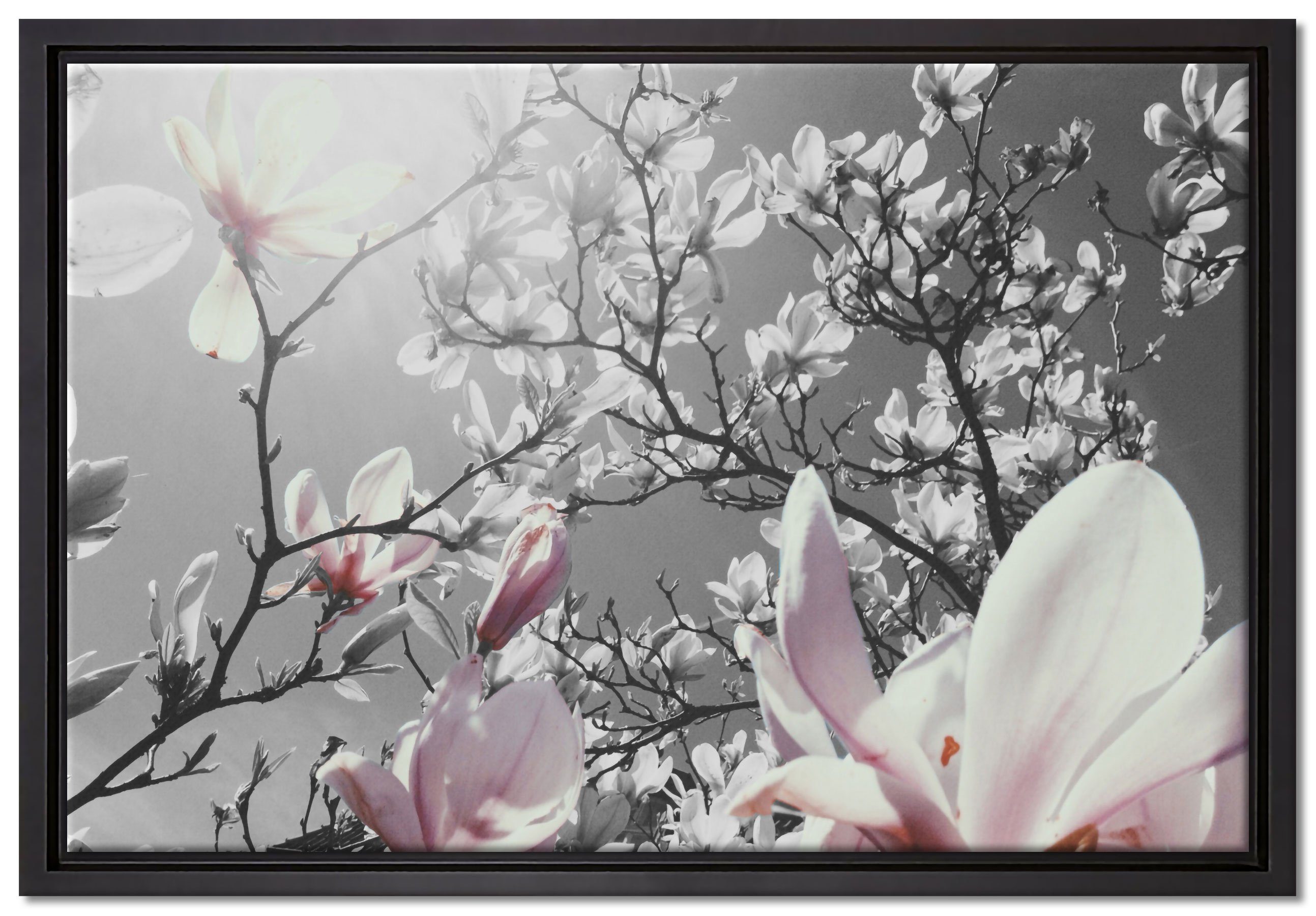 Pixxprint Leinwandbild schöne Magnolie Blüten, Wanddekoration (1 St), Leinwandbild fertig bespannt, in einem Schattenfugen-Bilderrahmen gefasst, inkl. Zackenaufhänger