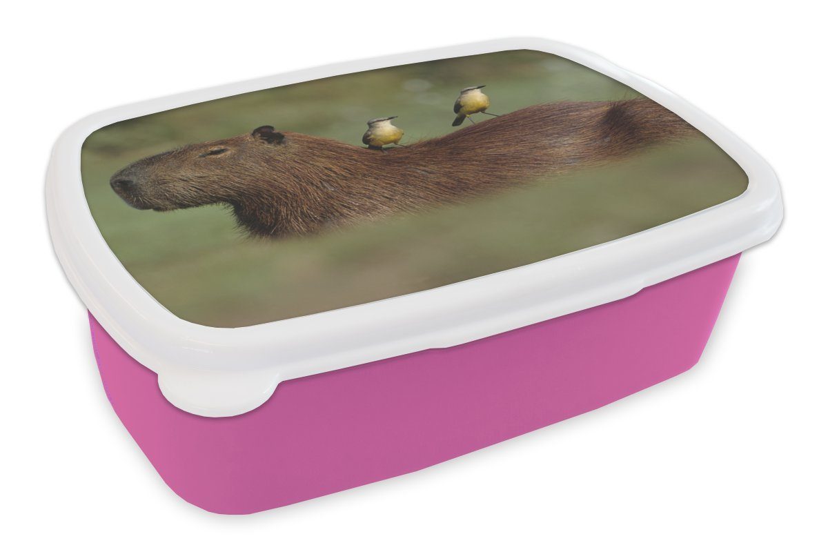 MuchoWow Lunchbox Zwei Vögel sitzen auf einem Capybara, Kunststoff, (2-tlg), Brotbox für Erwachsene, Brotdose Kinder, Snackbox, Mädchen, Kunststoff rosa