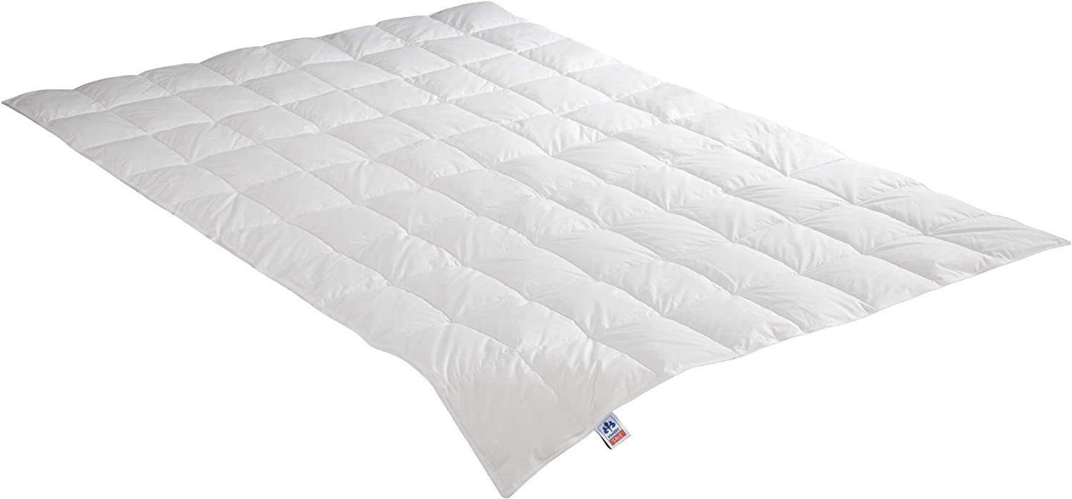 Irisette Daunenbettdecke Irisette Daunendecke Edda, Füllung: 90% Daunen und günstig online kaufen