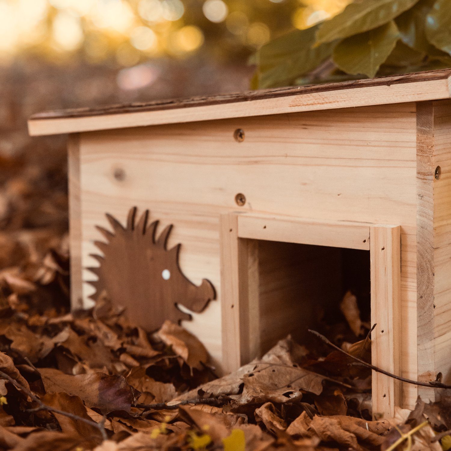 Eli Igelhaus Bausatz Für Kinder - DIY Set Mit Farben & Schablonen