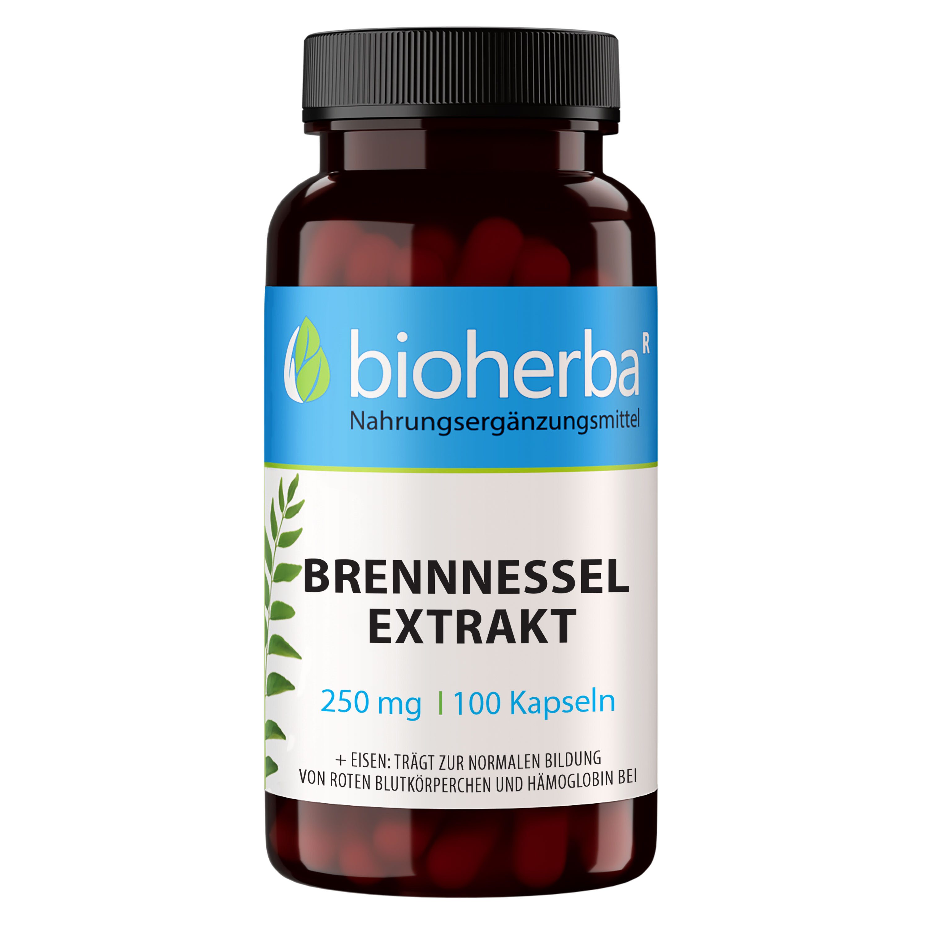 BIOHERBA R Bioherba Brennnessel Extrakt 250 mg 100 Kapseln Nahrungsergänzungsmittel, 1 er