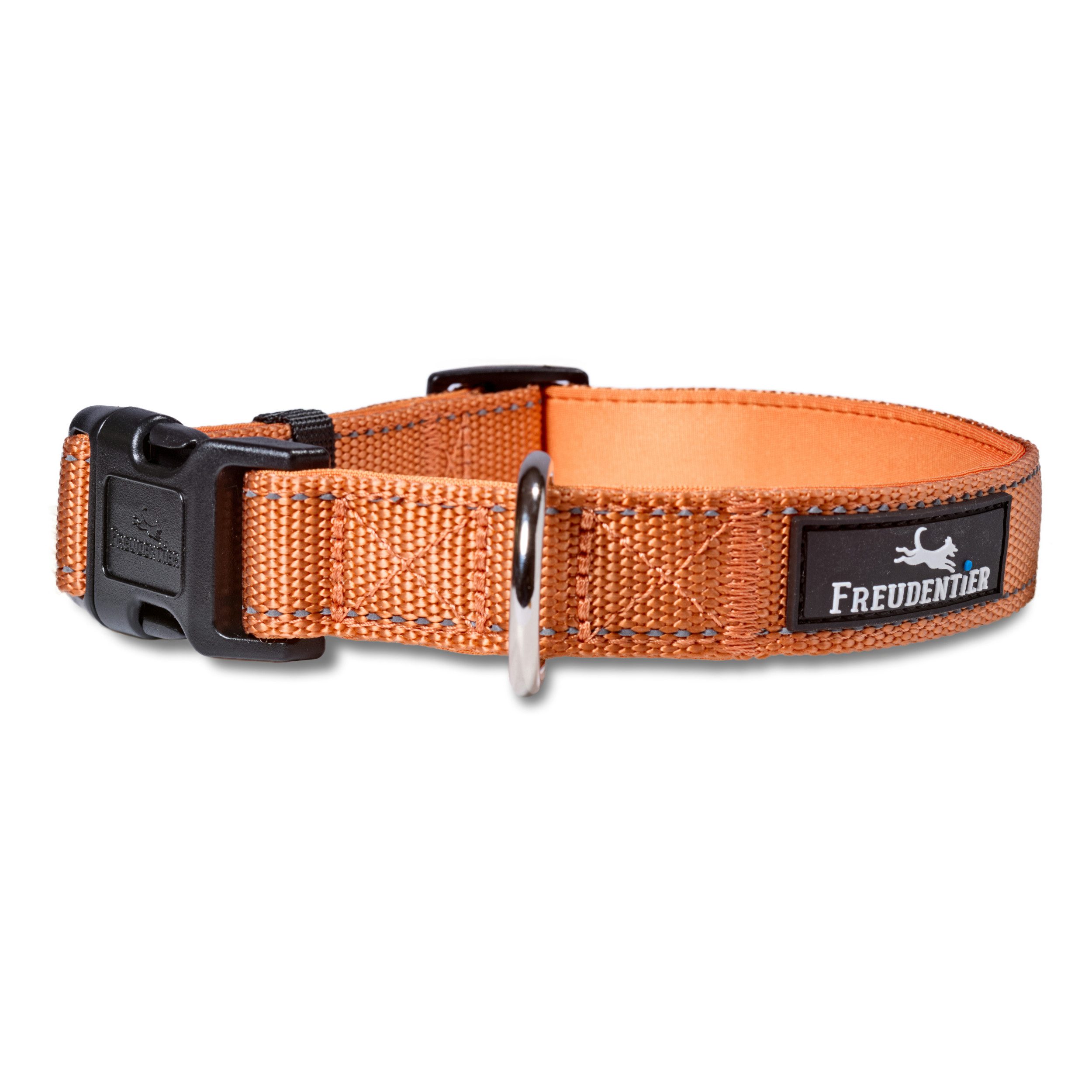 Freudentier Hunde-Halsband Hundehalsband - gepolstert & reflektierend - Clyde Kollektion