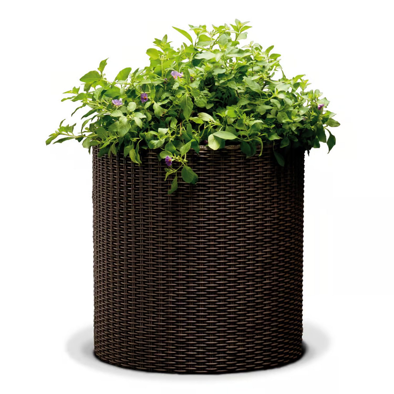 Keter Blumentopf, Keter Cylinder Planter M günstig online kaufen