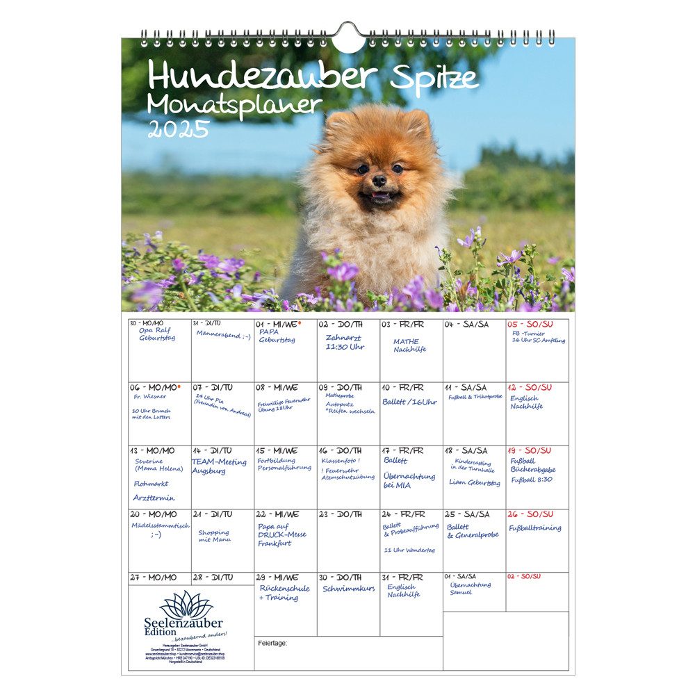 Seelenzauber Wandkalender Hundezauber Spitze Wand Planer Kalender für