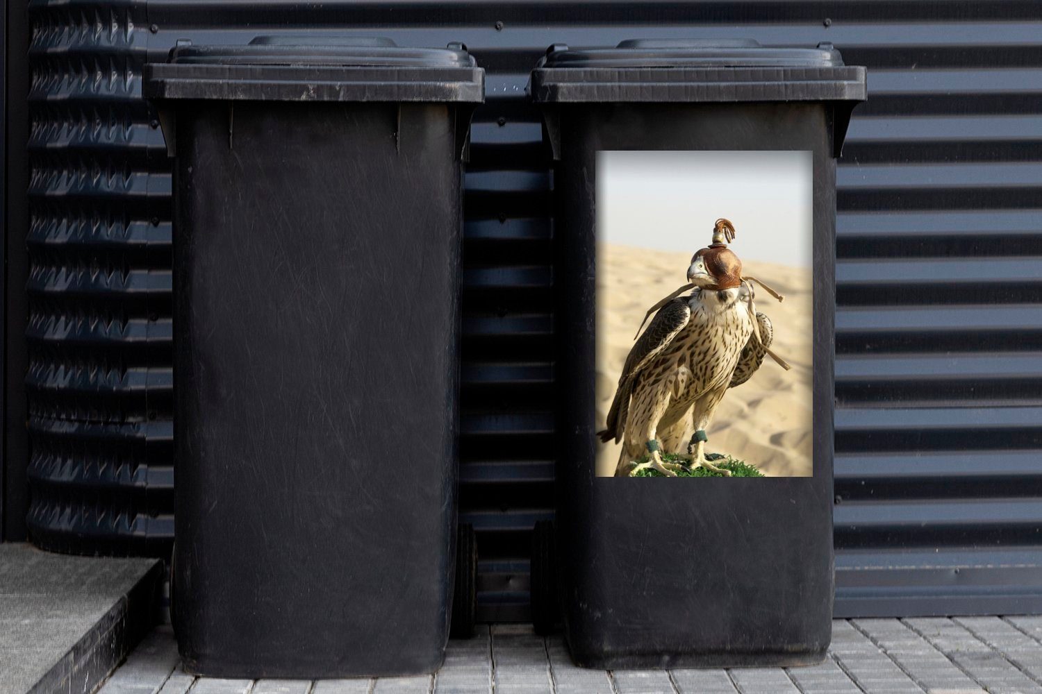 Wüste Falke Wandsticker Container, MuchoWow - Vogel (1 St), Mülltonne, Mülleimer-aufkleber, Sticker, - Abfalbehälter