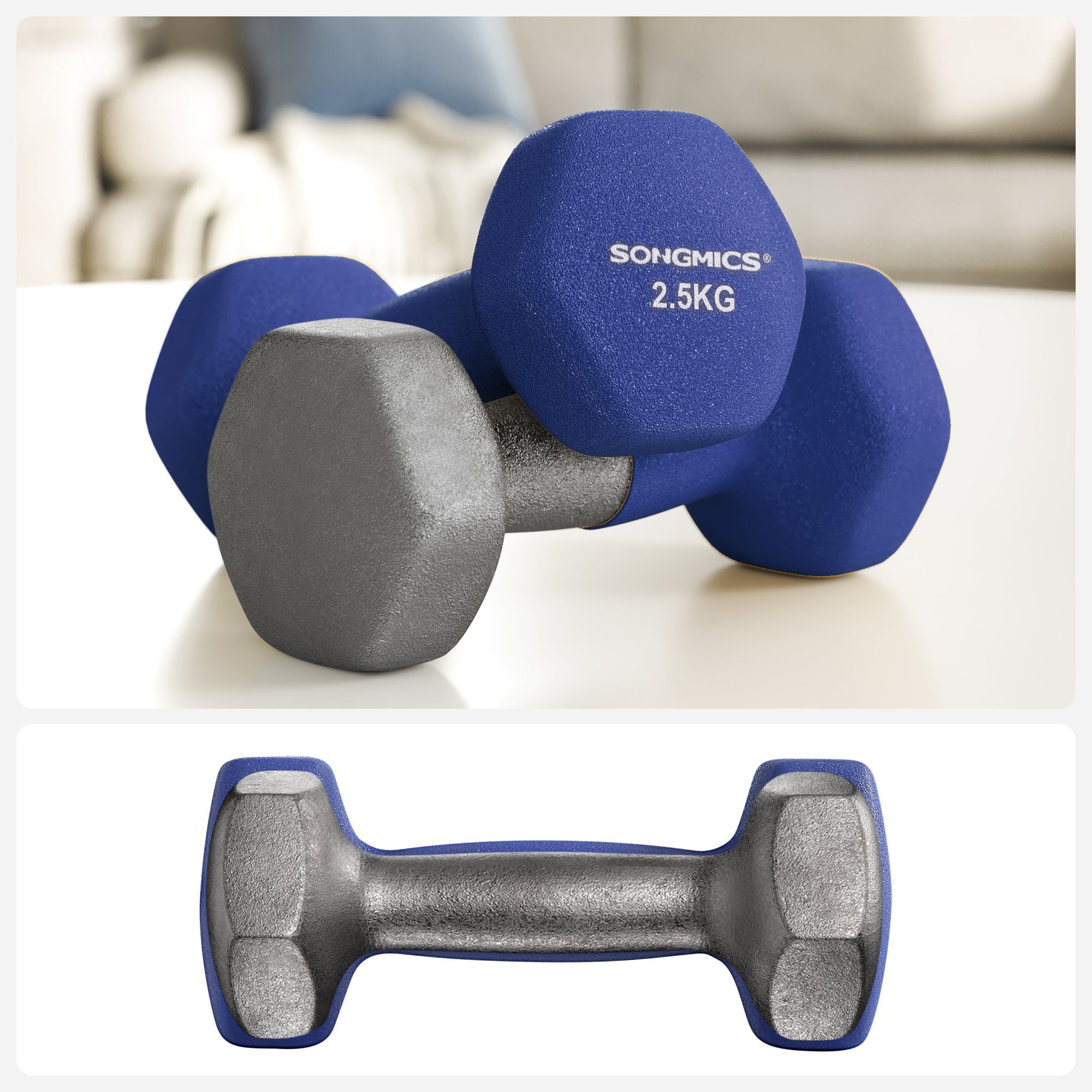 SONGMICS Kurzhantel Kurzhanteln, 2er Set, Krafttraining, zu Hause, Büro