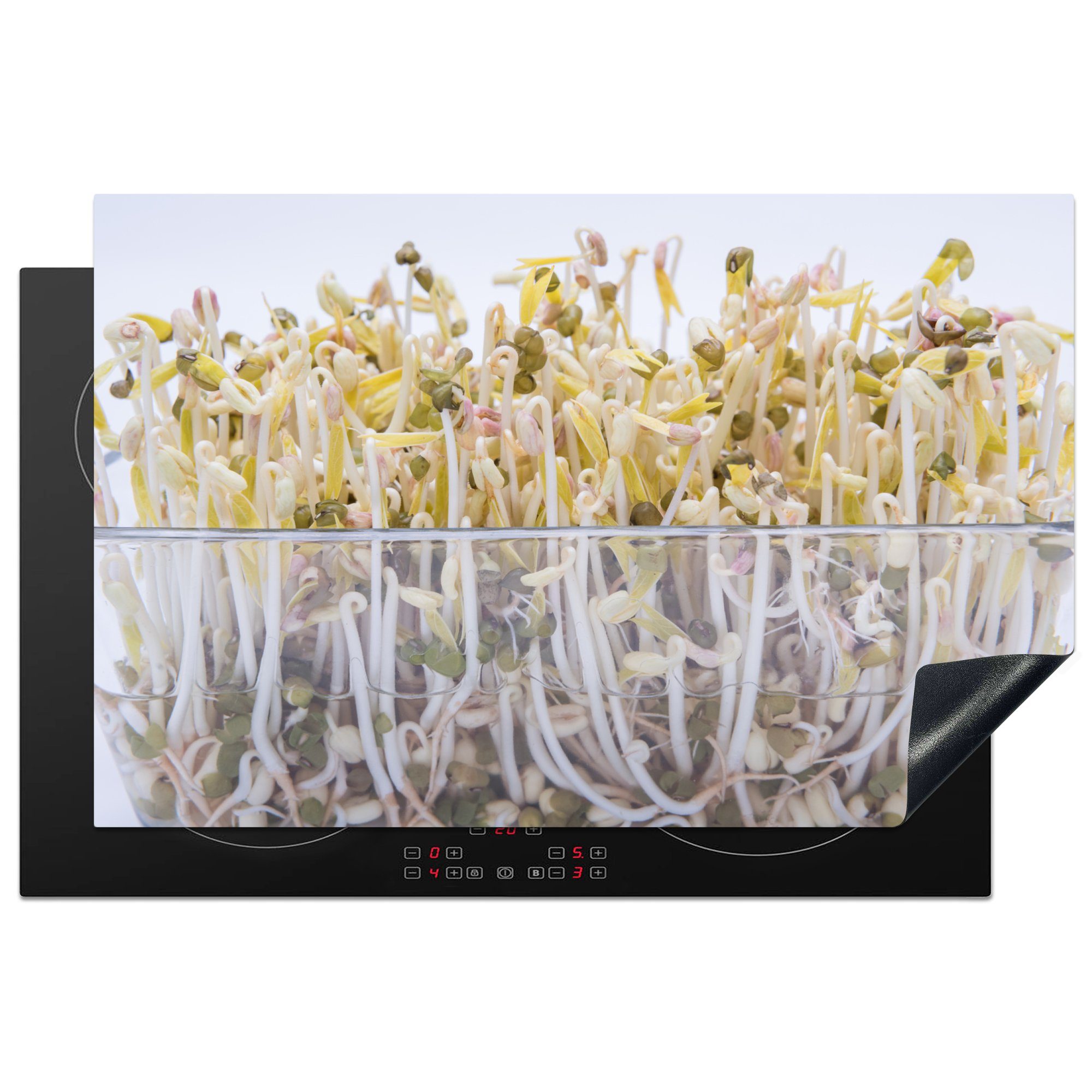 MuchoWow Herdblende-/Abdeckplatte Bohnensprossen in einer Glasschale vor weißem Hintergrund, Vinyl, (1 tlg), 81x52 cm, Induktionskochfeld Schutz für die küche, Ceranfeldabdeckung
