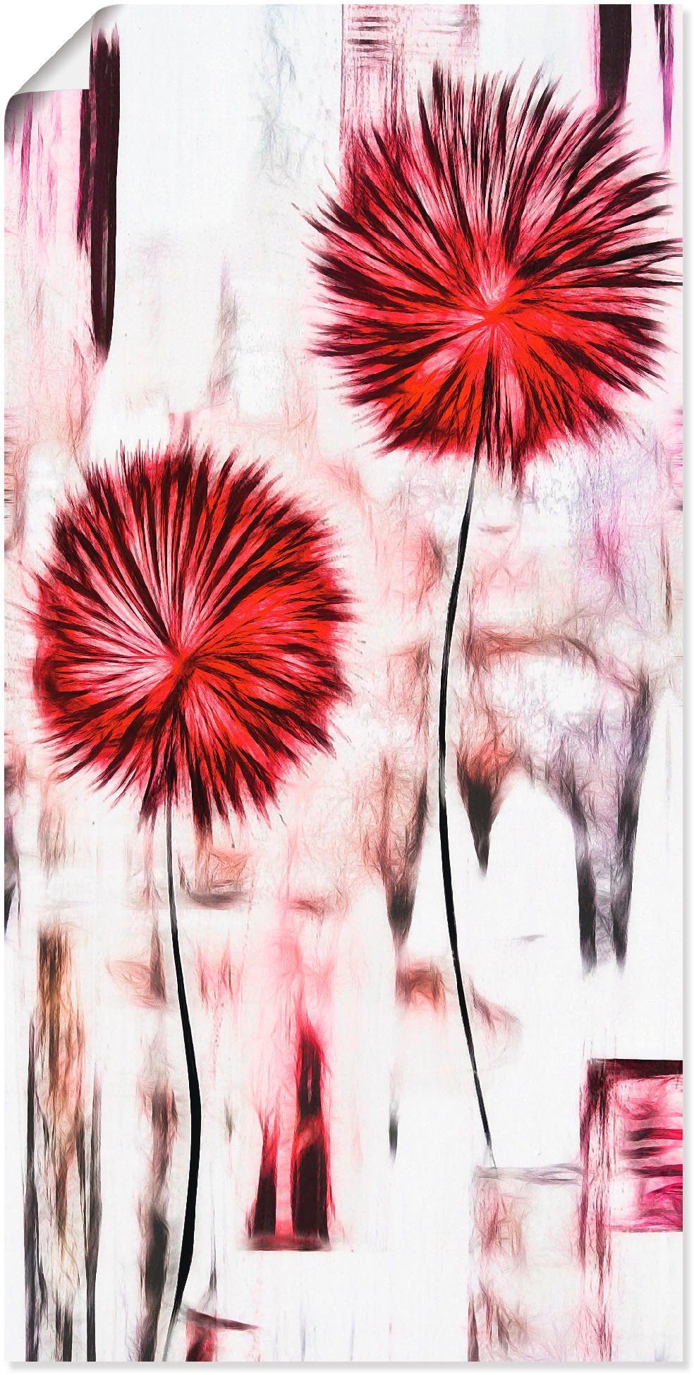 versch. Wandaufkleber Alubild, in als (1 Artland Poster Leinwandbild, Blumen oder Größen St), rot Blumen, Wandbild