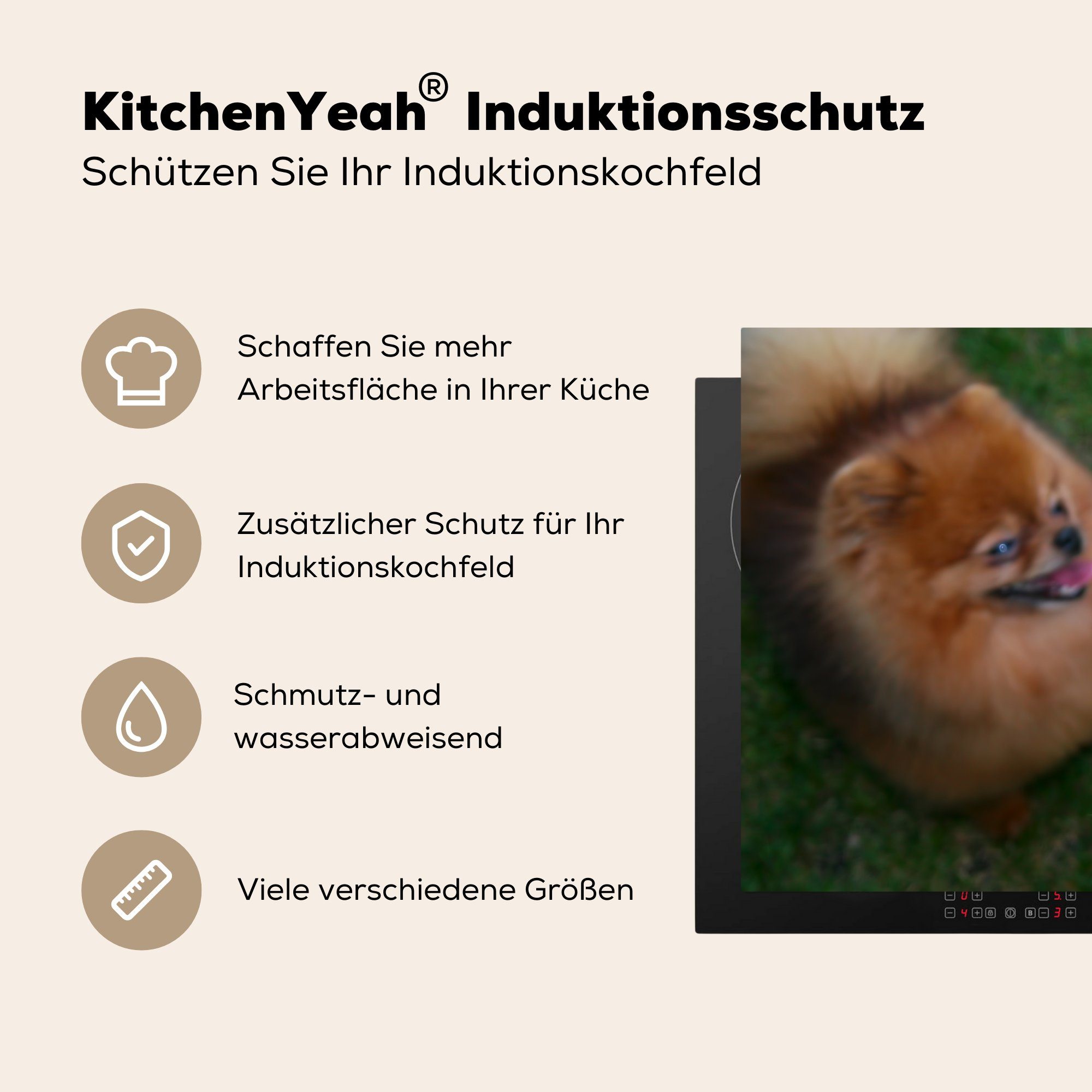 Induktionskochfeld die Vinyl, Pommersche (1 Zwei Hunde, Herdblende-/Abdeckplatte Ceranfeldabdeckung tlg), Schutz cm, für küche, 81x52 MuchoWow