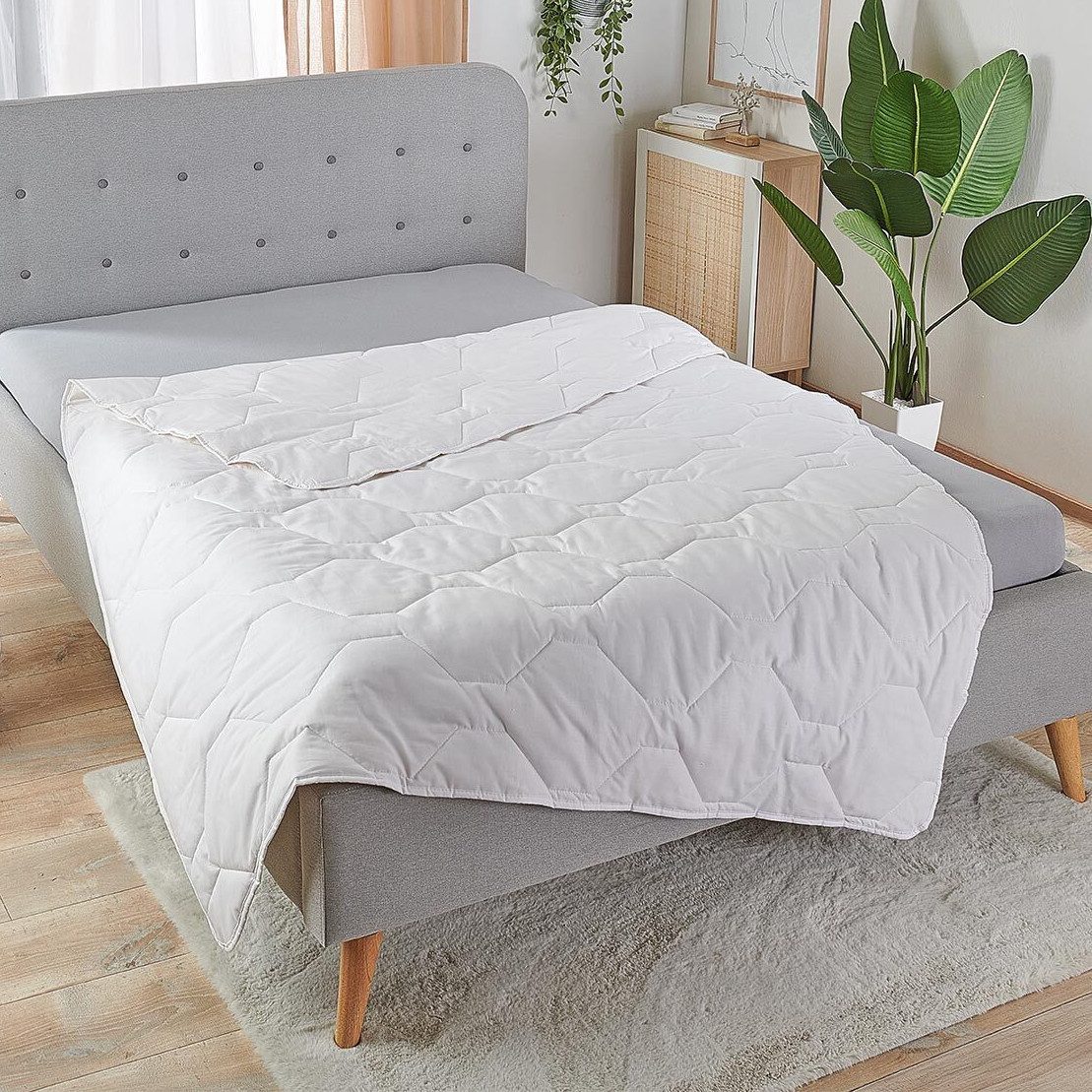 TRAUMSCHLAF Baumwollbettdecke Sommer, Füllung: 100% Baumwolle, Bezug: 100% günstig online kaufen