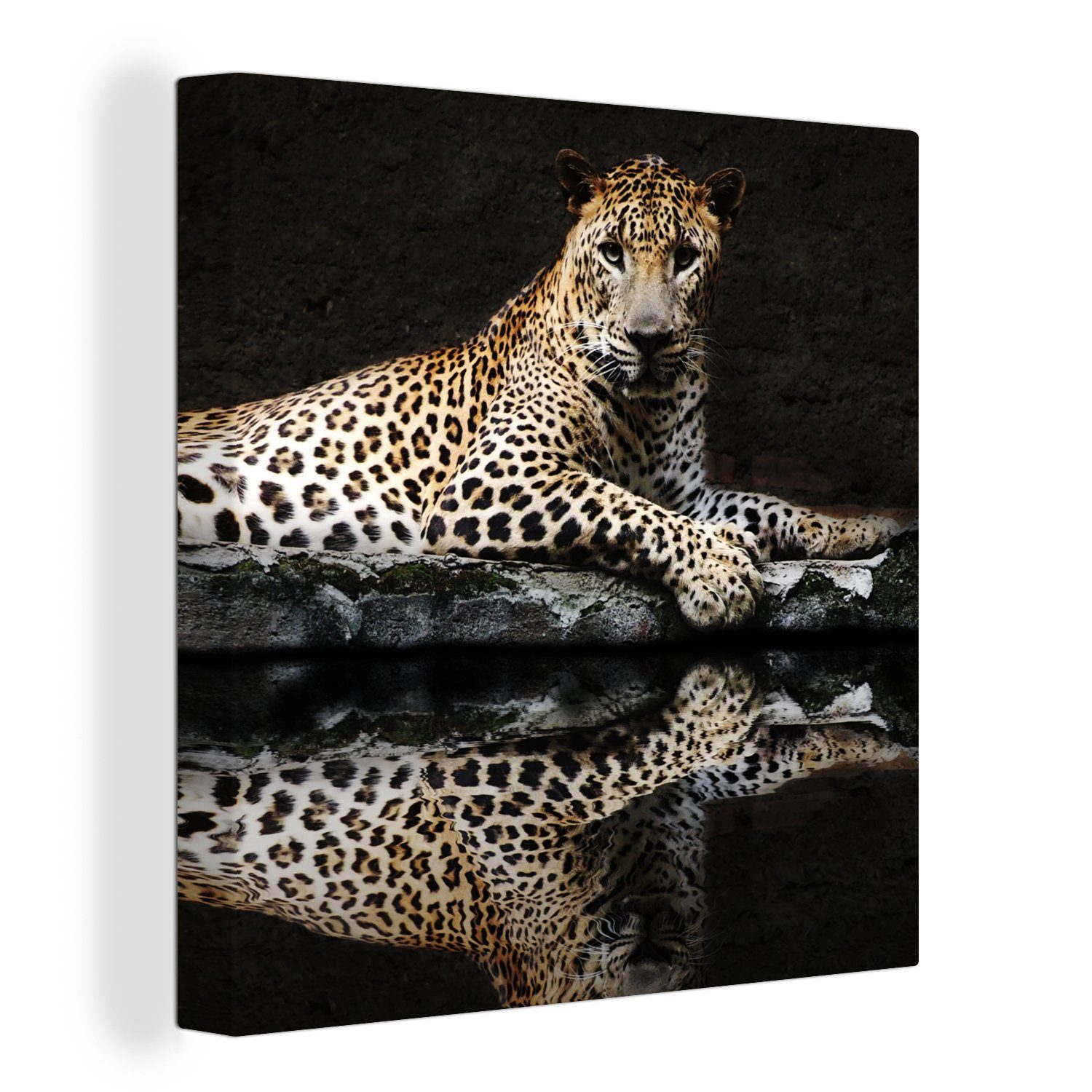 OneMillionCanvasses® Leinwandbild Leopard - Wasser - Wald, Fotodruck (1 St), Wandbild, Deko Schlafzimmer Wohnzimmer Flur 20x20 cm