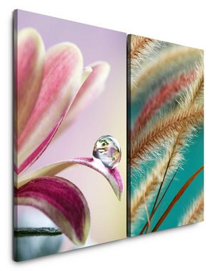 Sinus Art Leinwandbild 2 Bilder je 60x90cm Blume Blüte Wassertropfen Weizen Sommer Fotokunst Makrofotografie