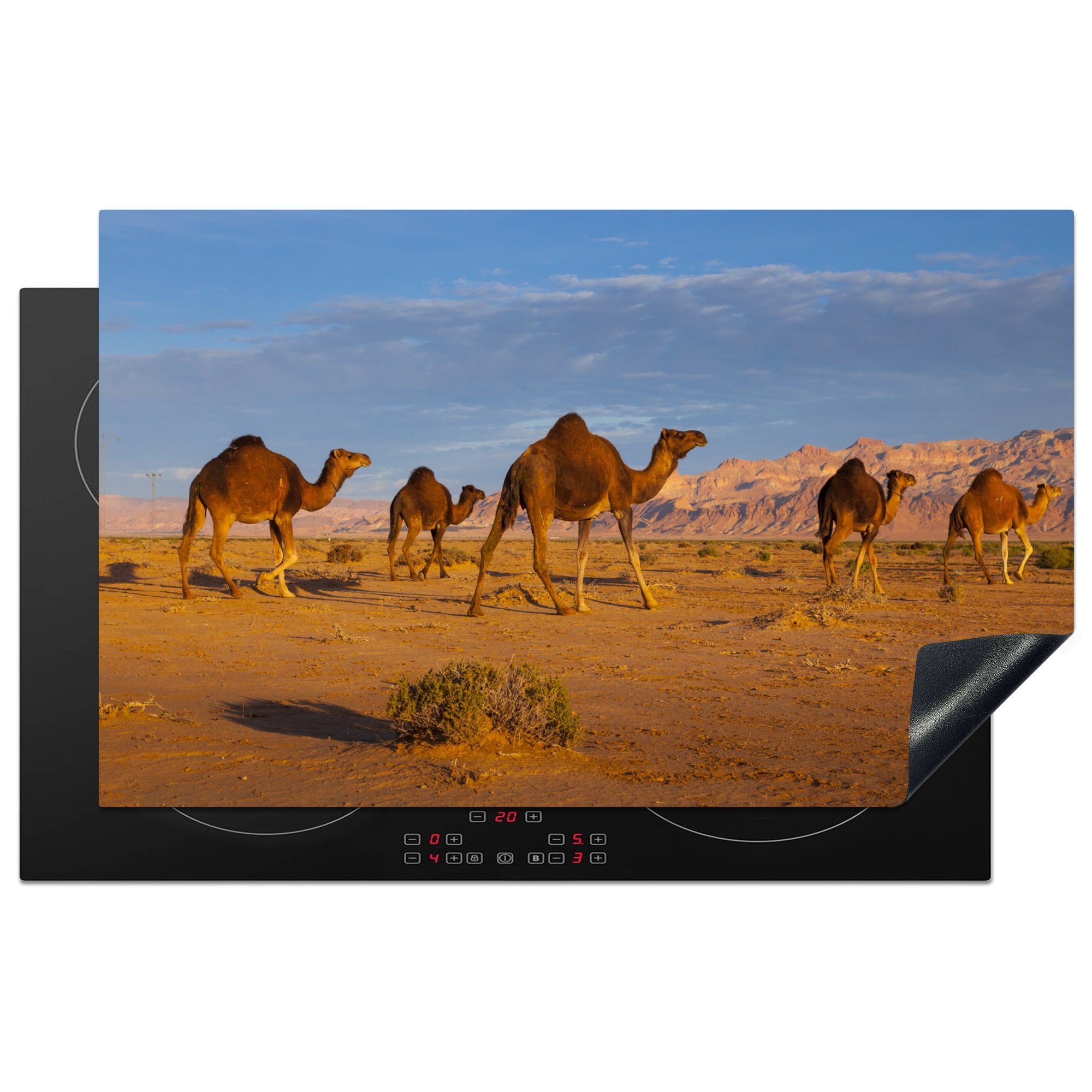 MuchoWow Herdblende-/Abdeckplatte Dromedarkamele in der afrikanischen Wüste, Vinyl, (1 tlg), 83x51 cm, Ceranfeldabdeckung, Arbeitsplatte für küche