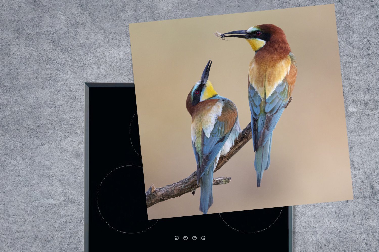 Arbeitsplatte Vinyl, Herdblende-/Abdeckplatte MuchoWow 78x78 Insekt - Vogel küche cm, für - Ceranfeldabdeckung, (1 Freunde, tlg),