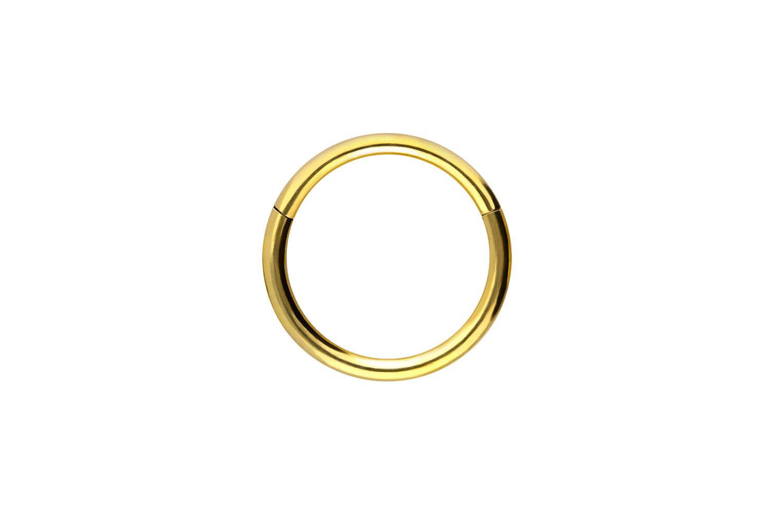 PIERCINGLINE Nasenpiercing Titan Segmentring Clicker Ohrpiercing Septum Nase (Clicker, 1-tlg), Ohrpiercing für Conch, Helix, Tragus, Daith, Lobe