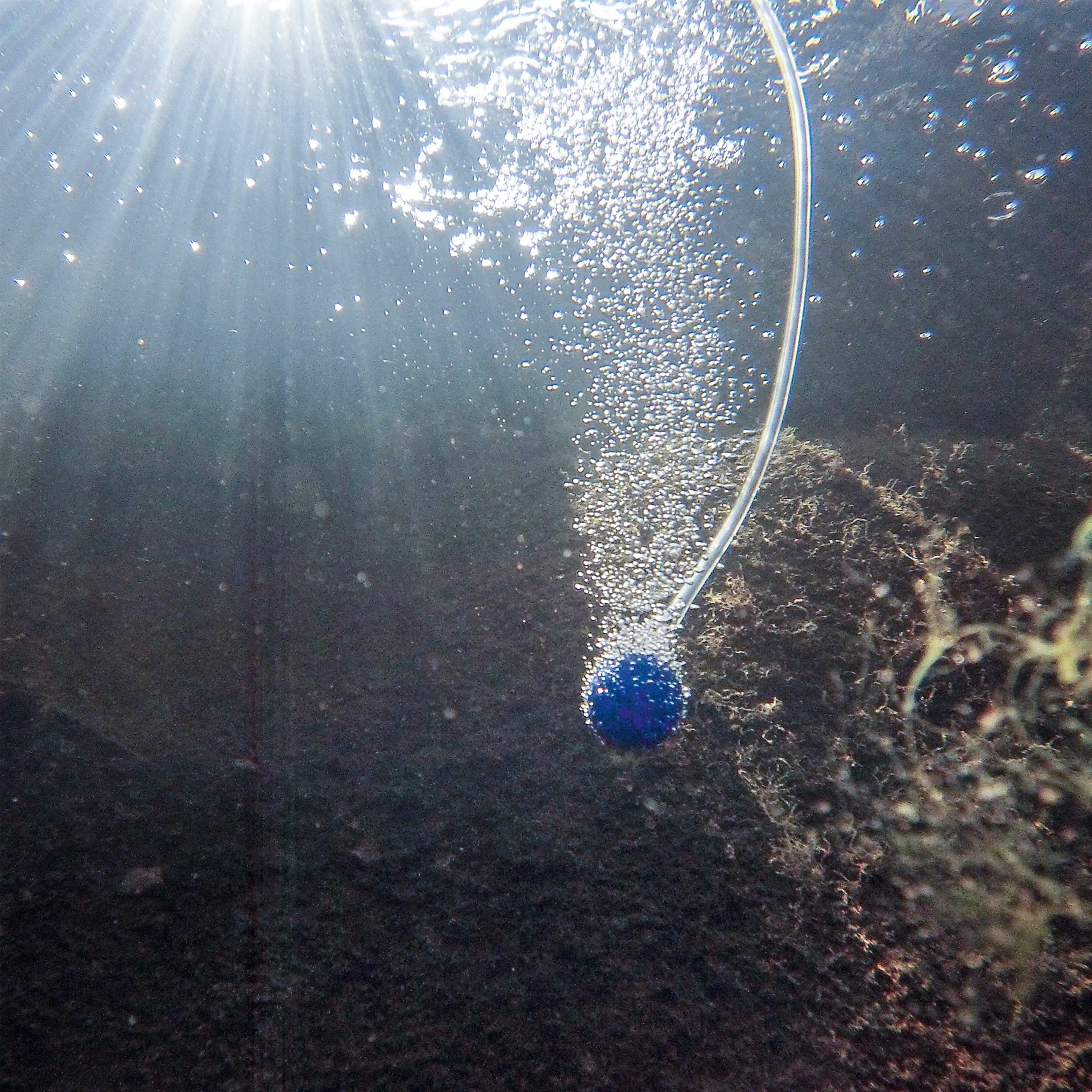 esotec Teichbelüfter 25/600 Solar Belüfterpumpen-Set 5 Ausgänge 12,8V/DC 600l/h Akku 101877, 600 l/h