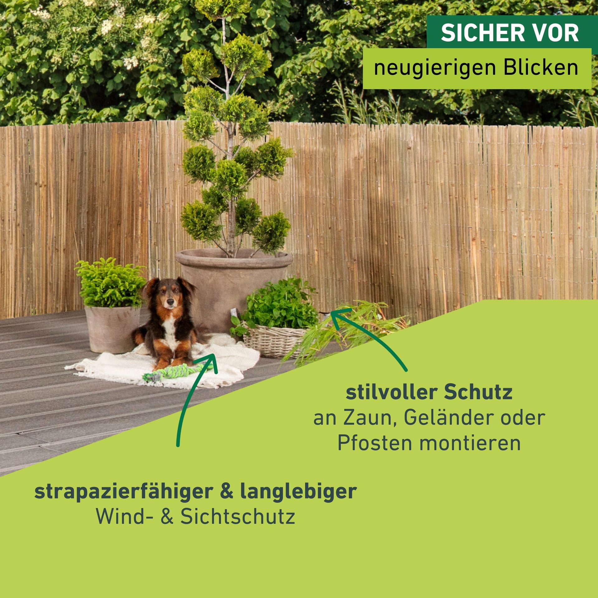Windhager Sichtschutzzaunmatten Mitake für Garten, Balkon und Terrasse, 180 x 300 cm, Sichtschutzzaun aus Bambus, Blickschutz – Bild 2 von 5