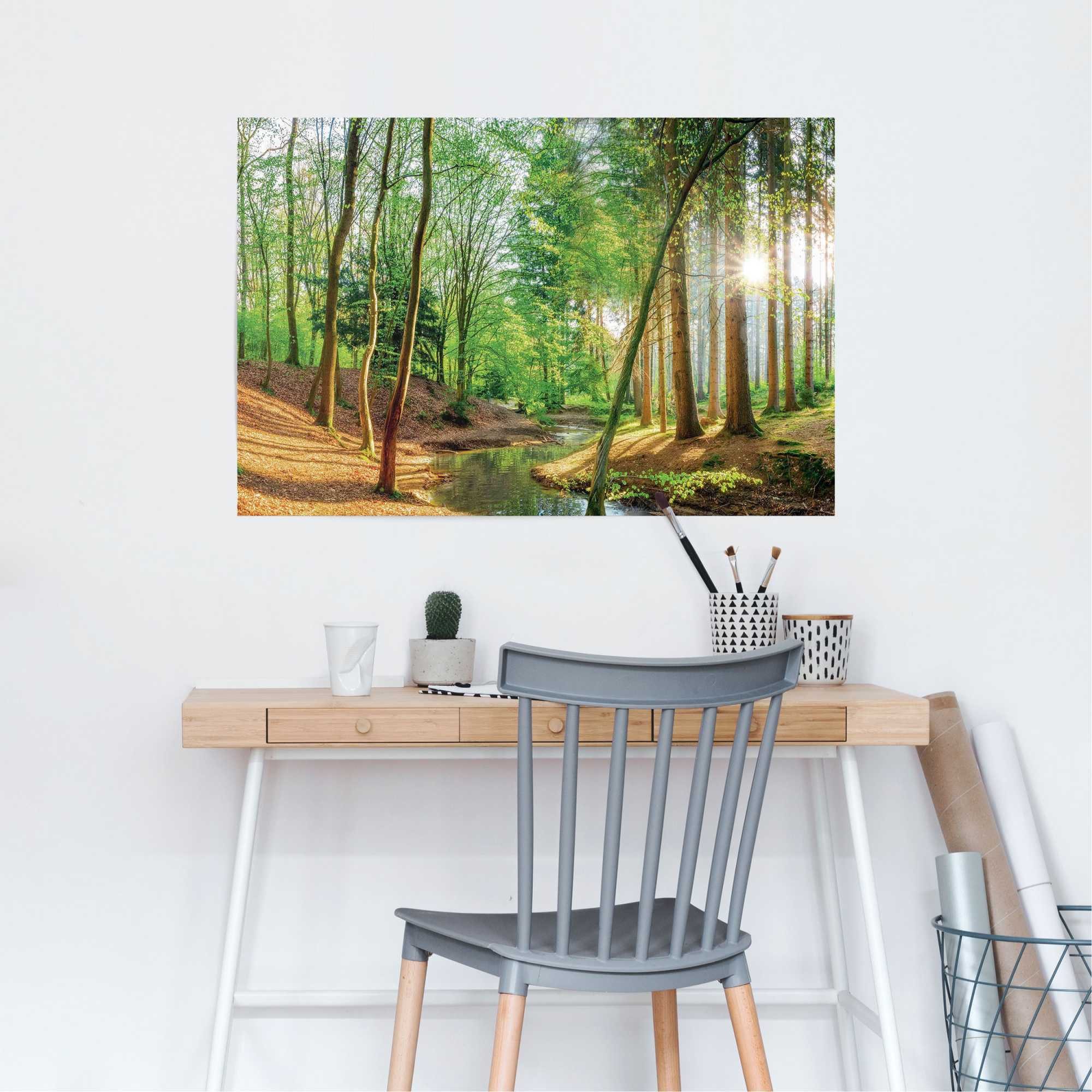 Poster Wald in der Sonne