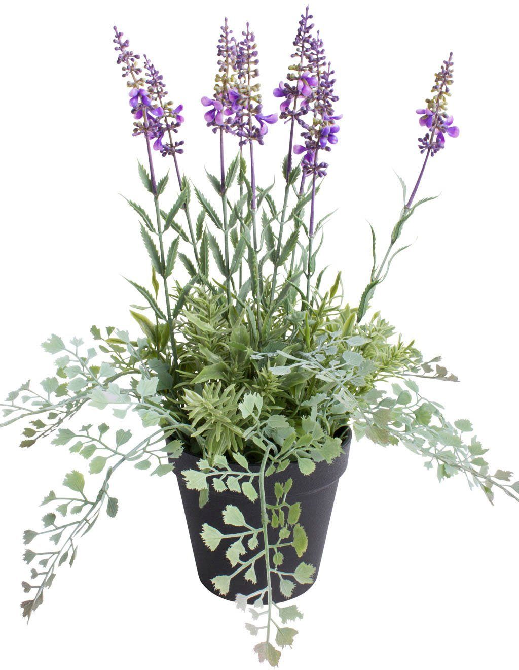 - Kräutertopf, 37 Botanic-Haus, cm Lavendel Zimmerpflanze Höhe Künstliche