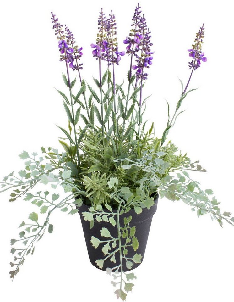 Künstliche Zimmerpflanze Lavendel - Kräutertopf, Botanic-Haus, Höhe 37 cm