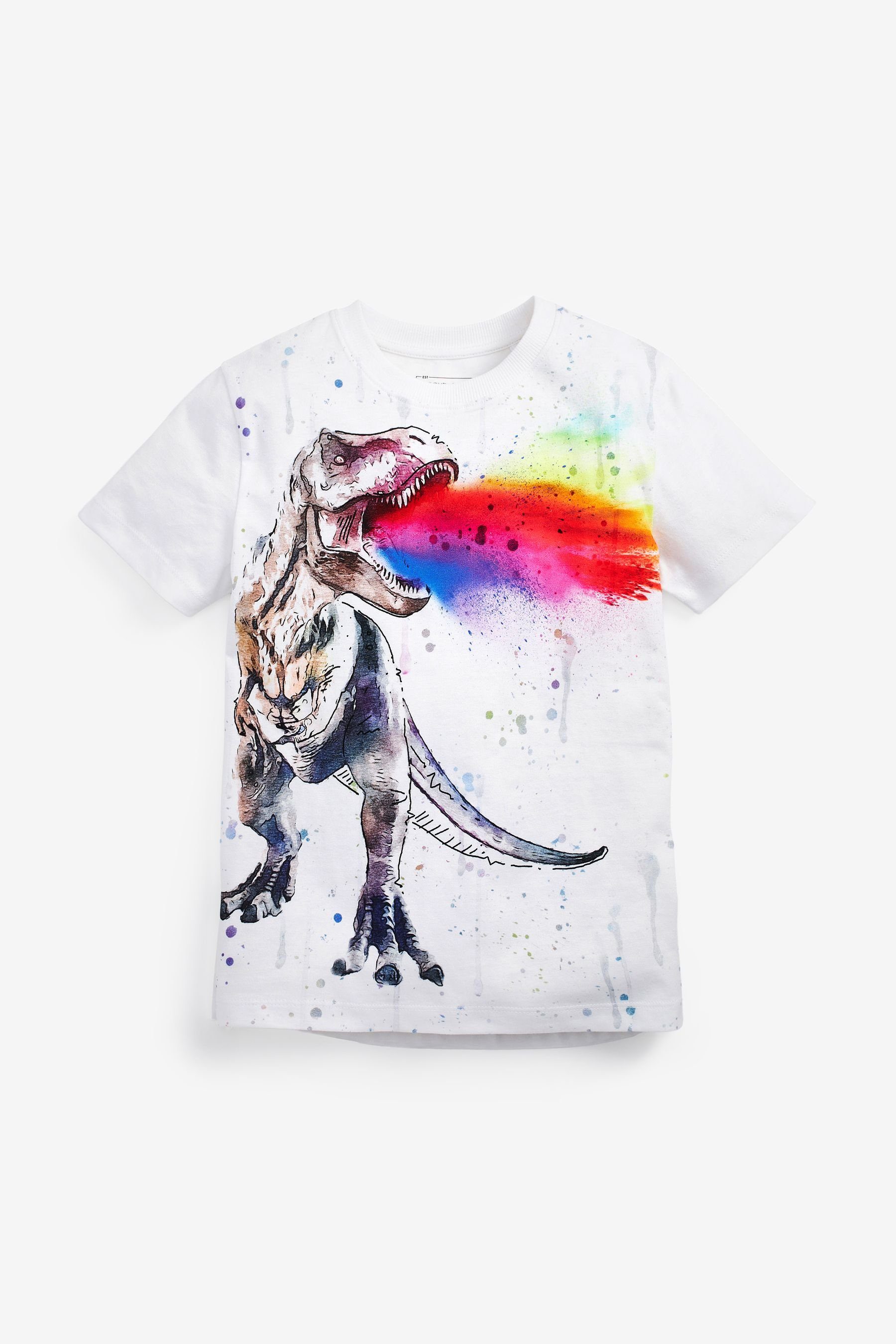 Next T-Shirt Grafik-T-Shirt (1-tlg) White Rainbow Dino