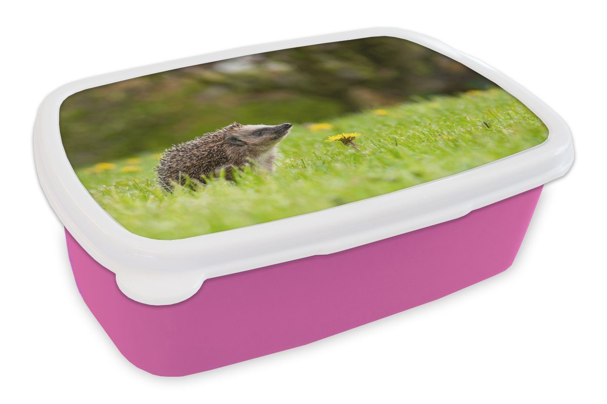 MuchoWow Lunchbox Igel - Blume - Frühling, Kunststoff, (2-tlg), Brotbox für Erwachsene, Brotdose Kinder, Snackbox, Mädchen, Kunststoff rosa