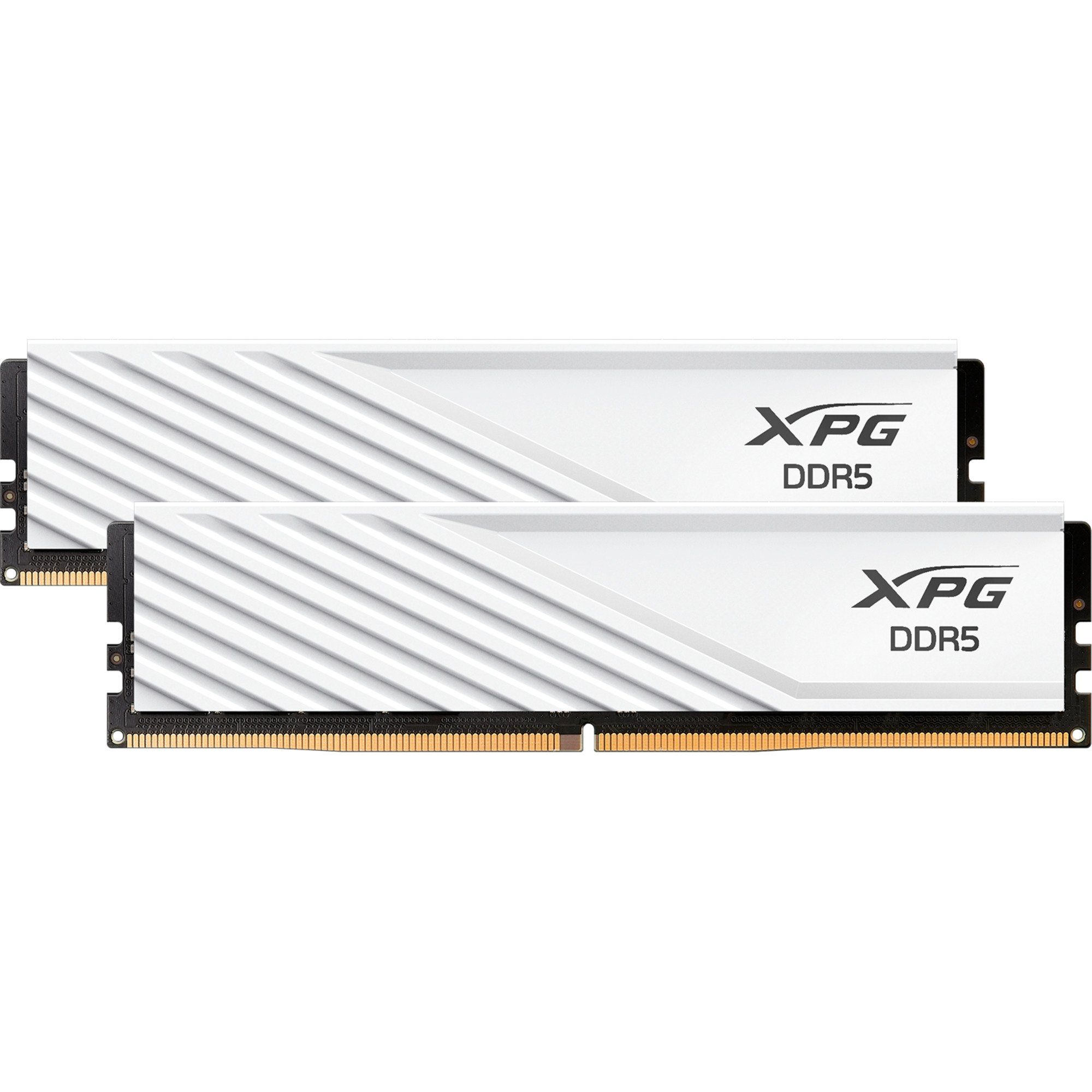 ADATA ADATA DIMM 32 GB DDR5-6000 (2x 16 GB) Dual-Kit, Arbeitsspeicher