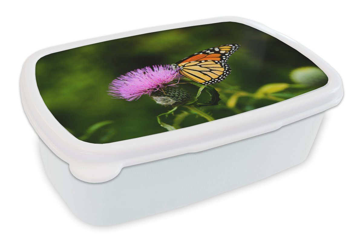 MuchoWow Lunchbox Blumen - Schmetterling - Makro, Kunststoff, (2-tlg), Brotbox für Kinder und Erwachsene, Brotdose, für Jungs und Mädchen weiß