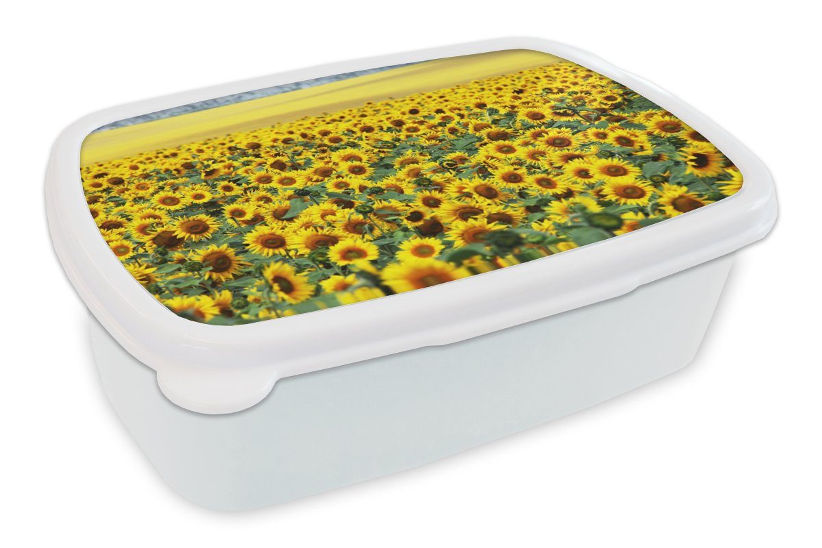 Mädchen Brotbox für Kinder Kunststoff, und Natur, Blumen Jungs Erwachsene, und - (2-tlg), Brotdose, Lunchbox Sonnenblume - MuchoWow für weiß