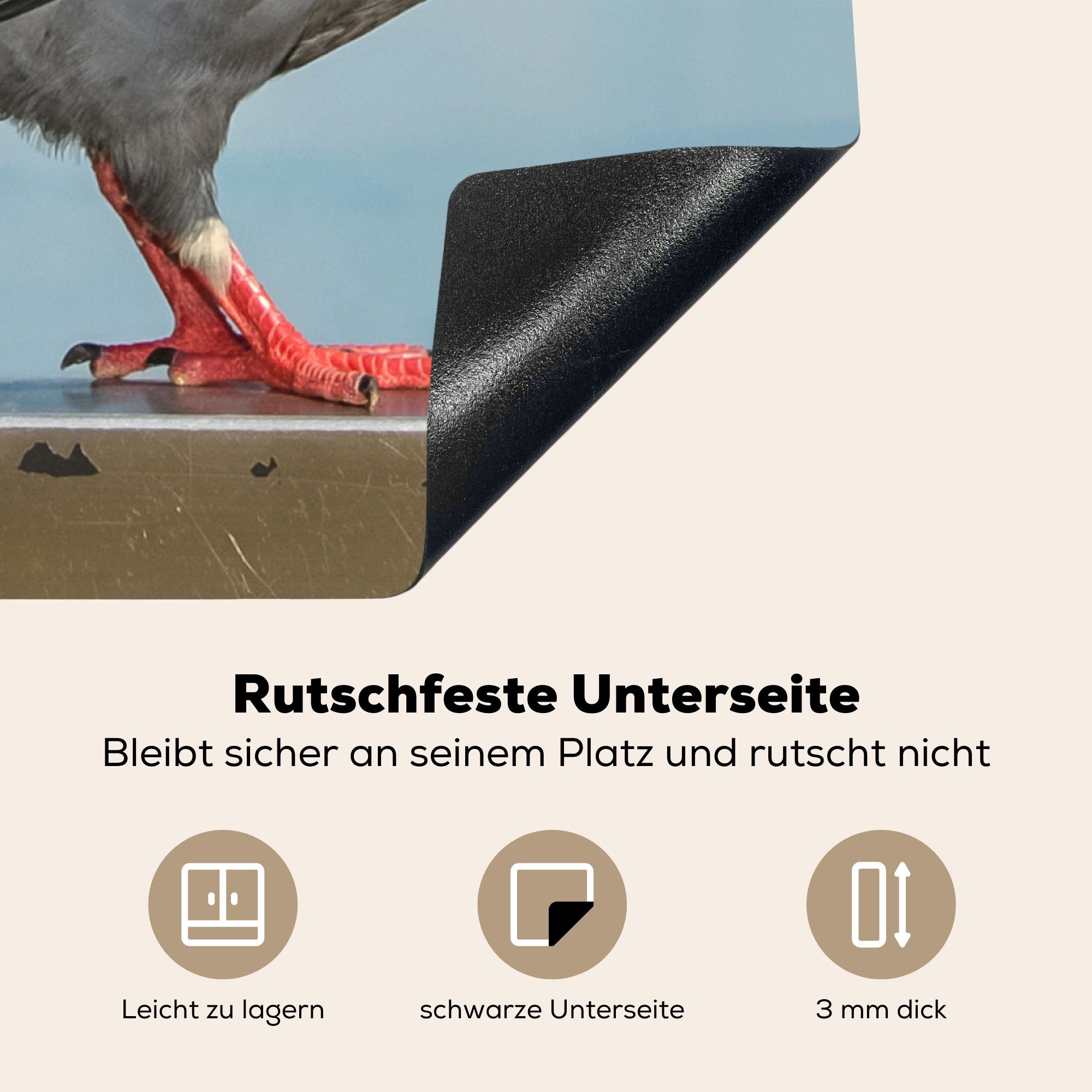 78x78 für sitzt Herdblende-/Abdeckplatte Mauer schöne Taube MuchoWow küche am (1 auf Arbeitsplatte tlg), cm, einer Meer, Vinyl, Ceranfeldabdeckung, Eine