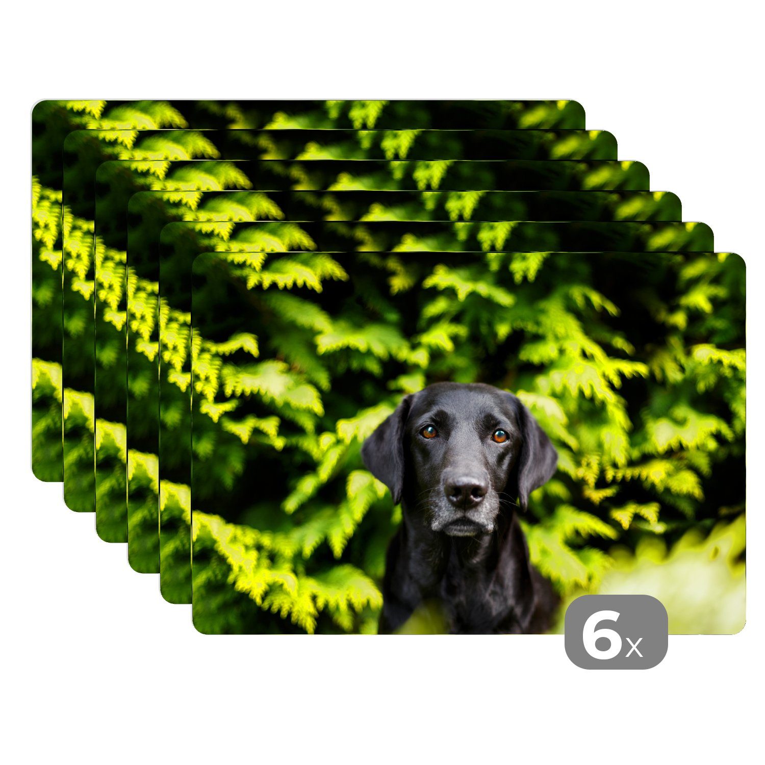 Platzset, Ein schwarzer Labrador Retriever inmitten der grünen Blätter, MuchoWow, (6-St), Platzset, Platzdecken, Platzmatte, Tischmatten, Schmutzabweisend