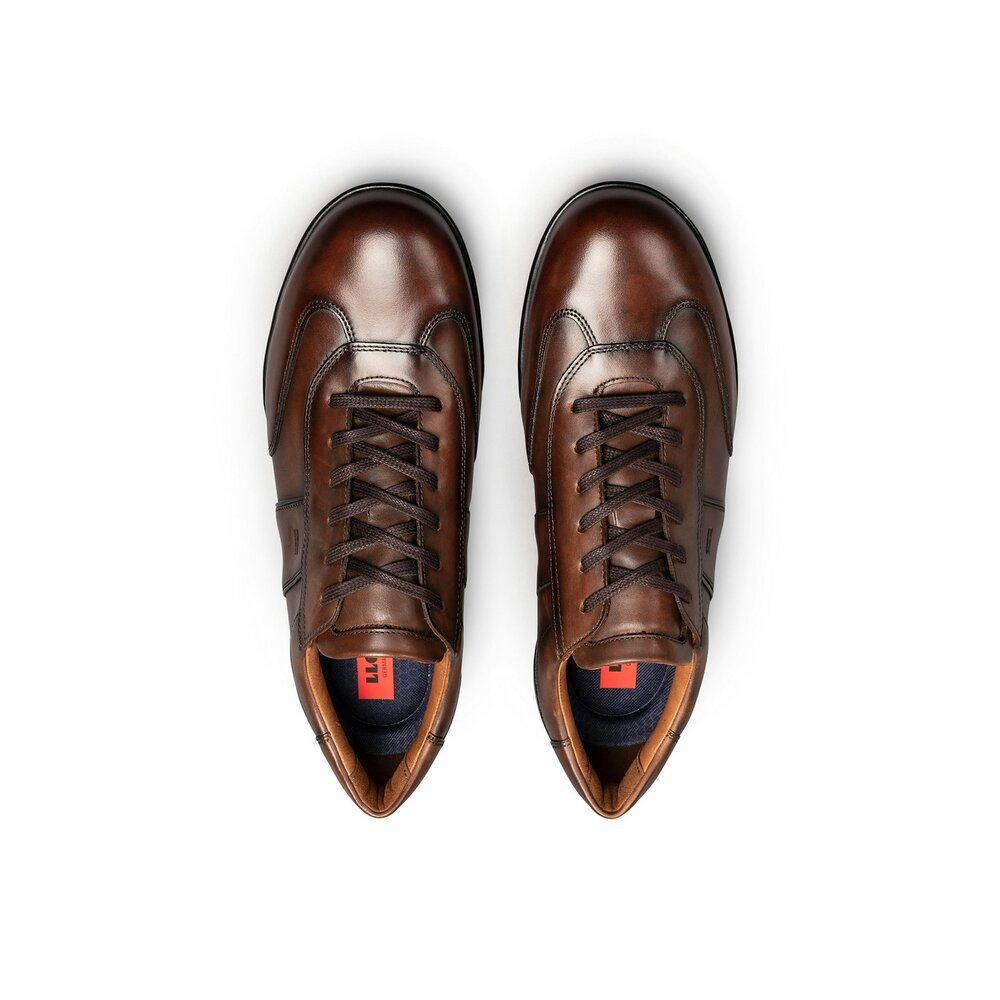 Lloyd Lloyd - AMIR - 24-600-05 - Braun Schnürschuh