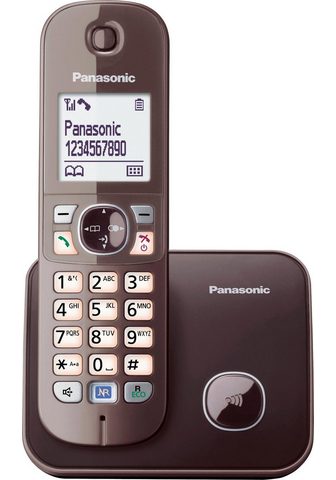  Panasonic KX-TG6811GS Schnurloses DECT...