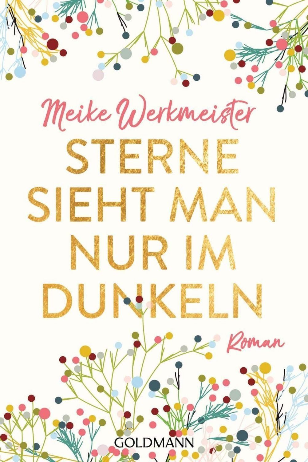 Sterne sieht man nur im Dunkeln / Meike Werkmeister