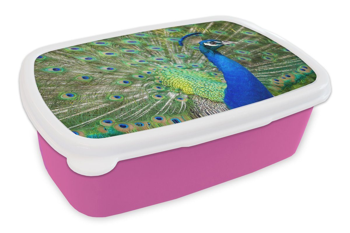 MuchoWow Lunchbox Kunststoff - für (2-tlg), Erwachsene, Kinder, Snackbox, rosa Brotbox - Profil Pfau, Porträt Mädchen, Kunststoff, Brotdose