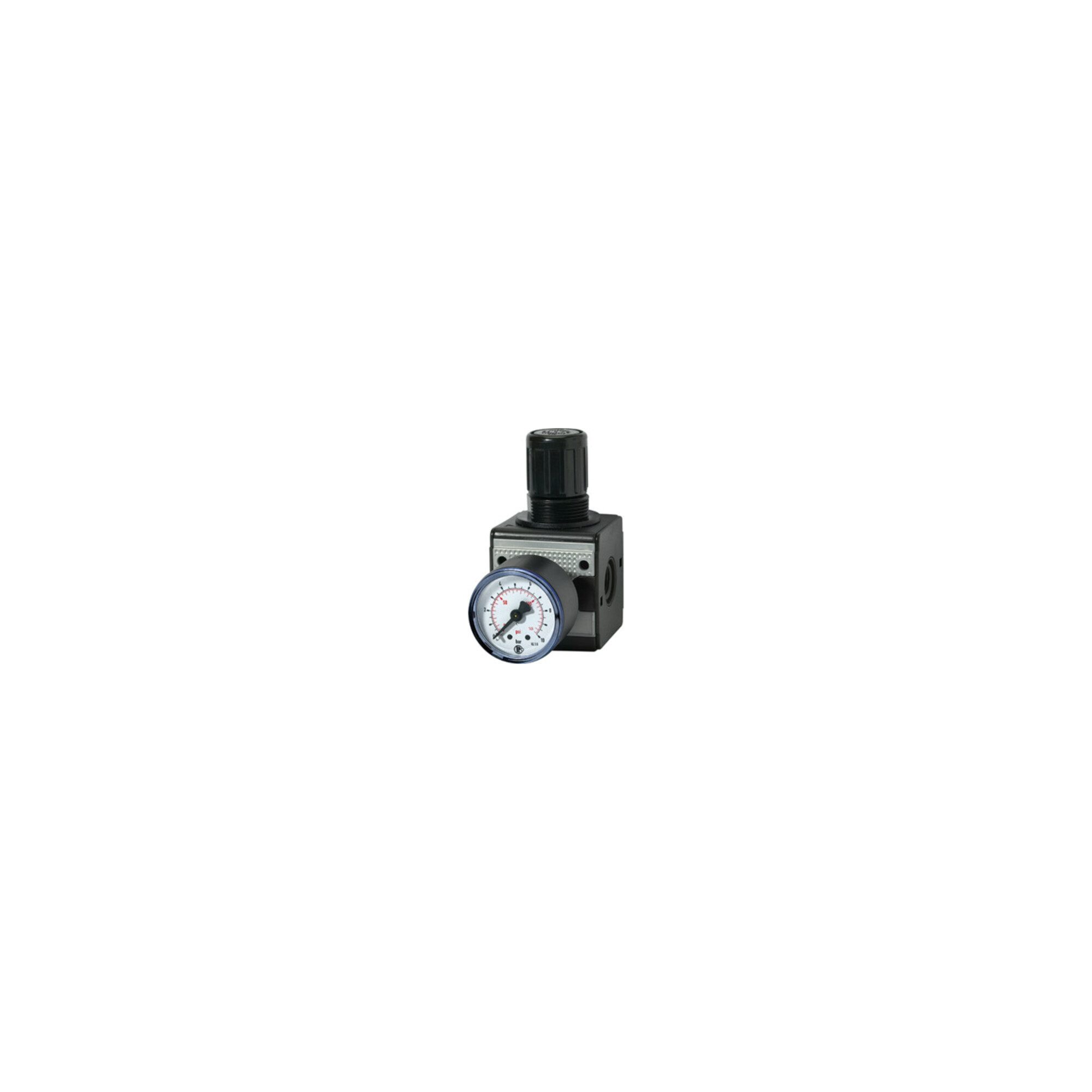 RIEGLER Druckregler Riegler Druckregler »multifix «, inkl. Manometer, BG 1, G 1/4, 0,5 -10