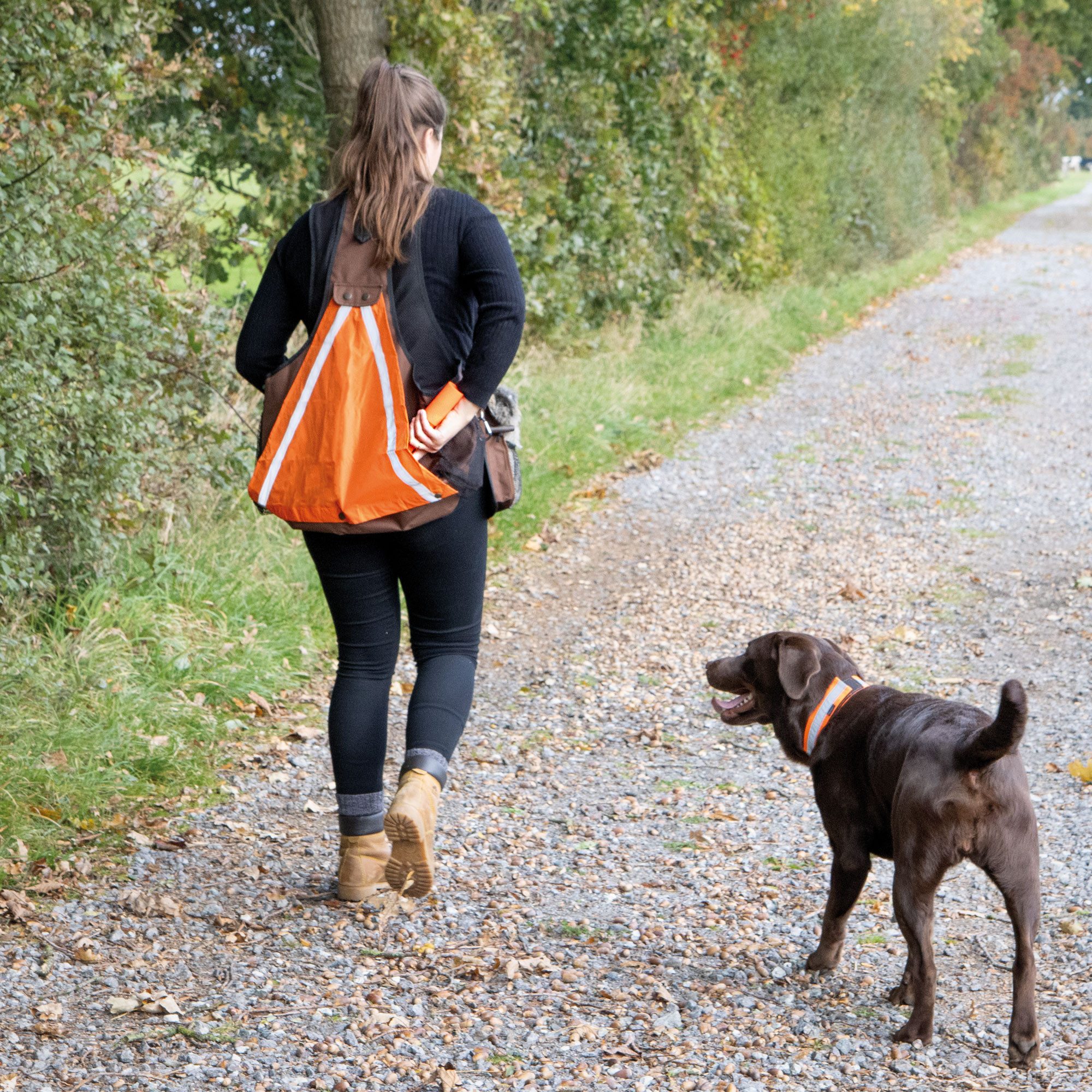 Tier-Intelligenzspielzeug Mystique® Markierstab - flexibel einsetzbar, Kunststoff, (1-tlg) ideal für Hunderaining - gut sichtbar
