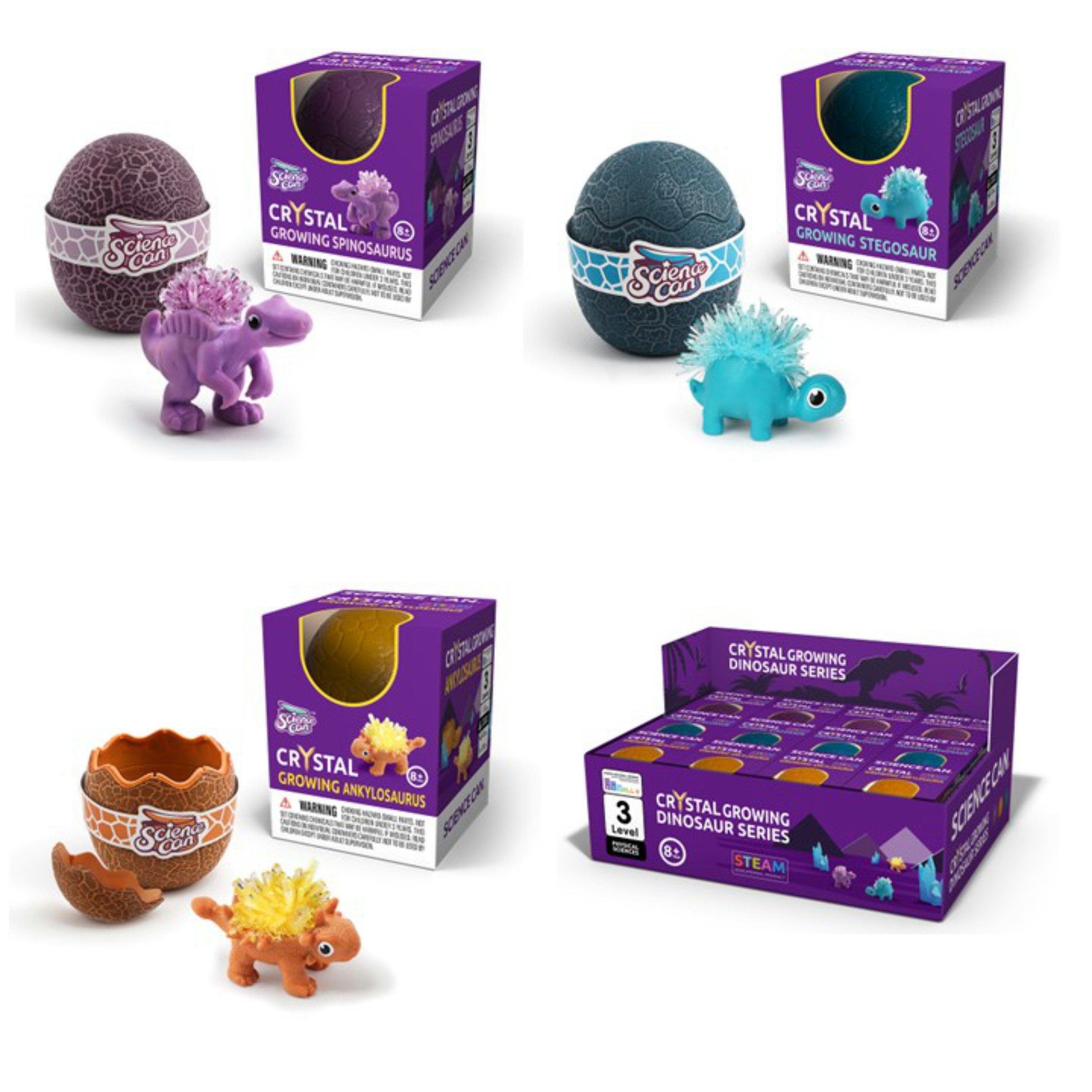 Science Can Spielwelt ScienceCan Kristall Zucht Set Dinosaurier Thekendisplay Display