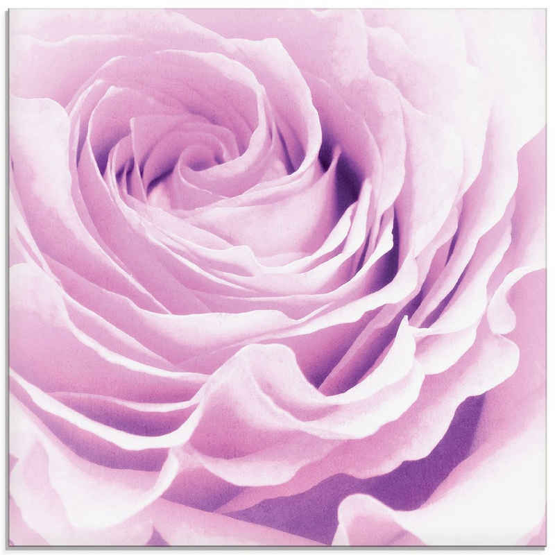 Artland Glasbild Pastell Rose, Blumen (1 St), in verschiedenen Größen